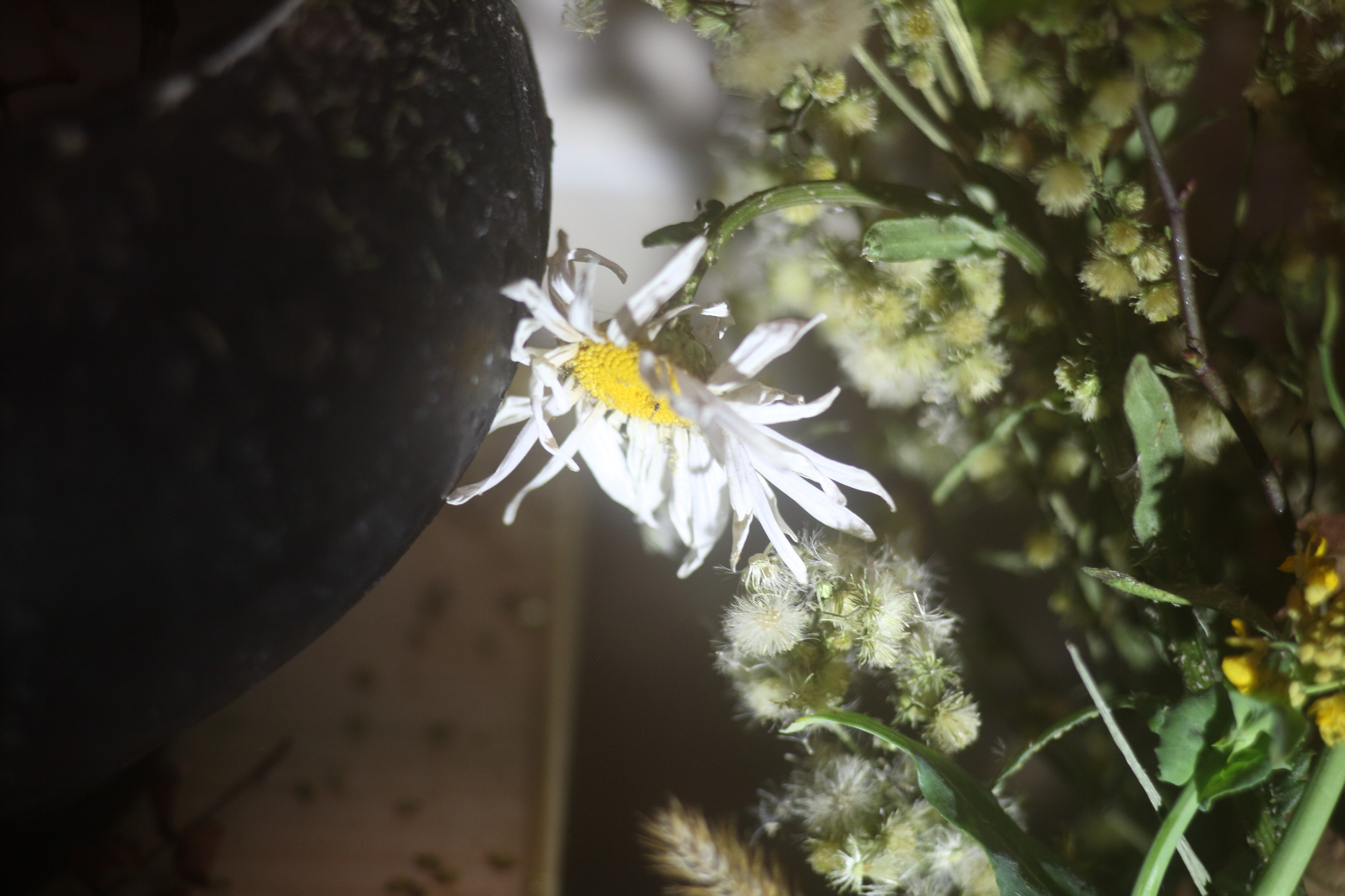 Старое природное, отбирала Katamount (Катерина Горохова). Главная