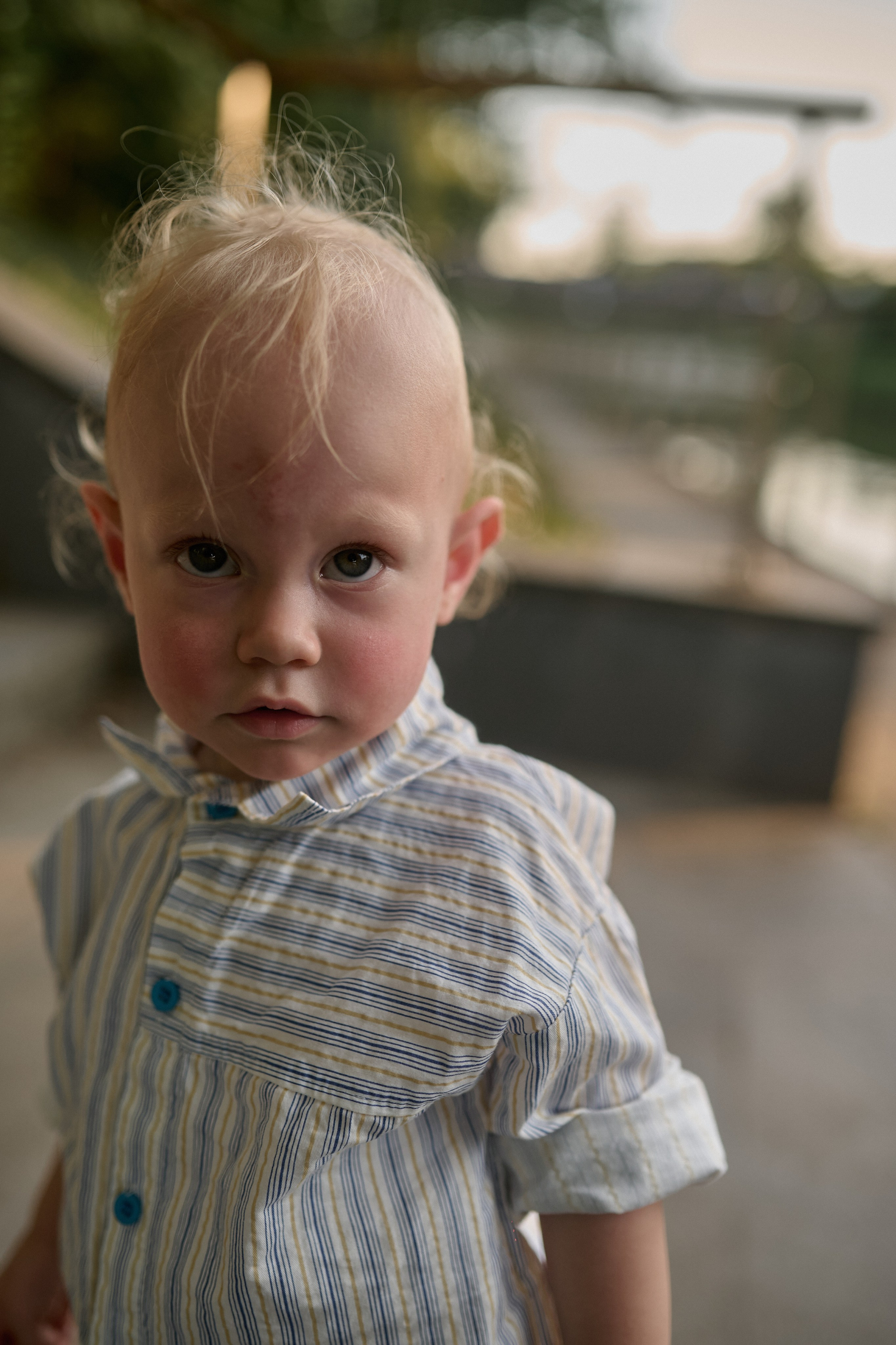 Сима и Яннис. Семейный и свадебный lifestyle-фотограф в Москве Мария Петрова