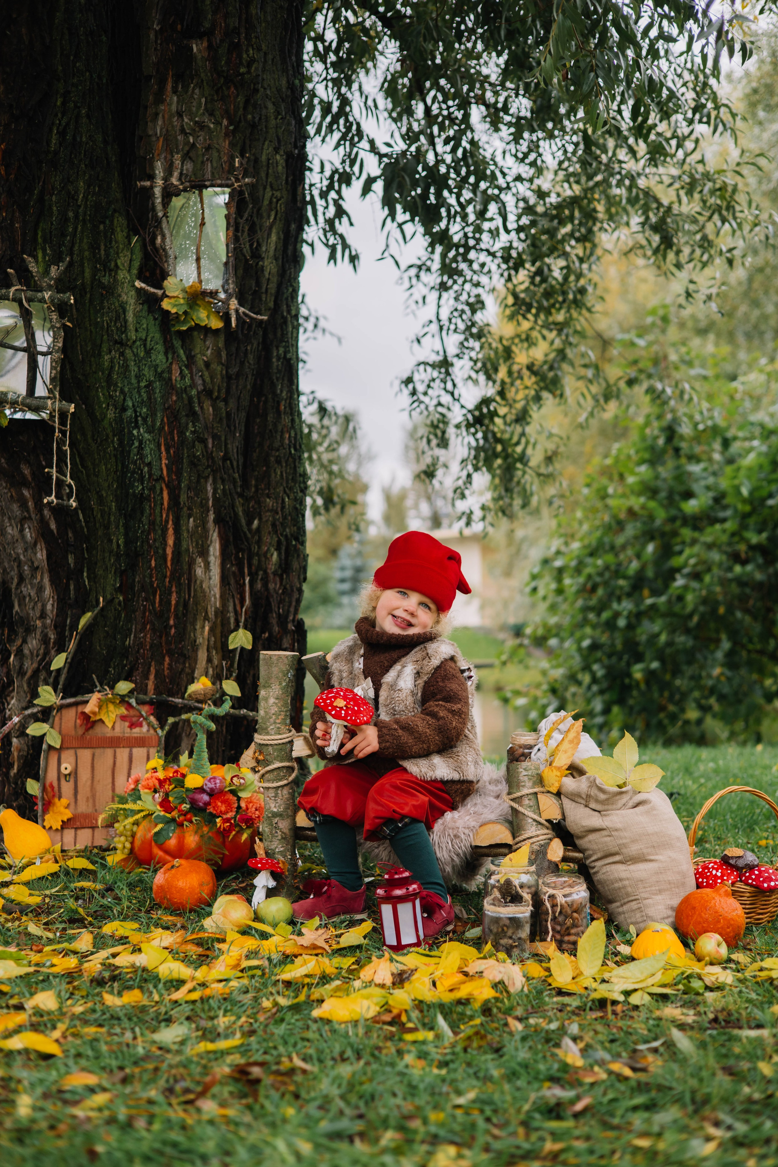 Гномики. Фотография с любовью от Людмилы Луценко