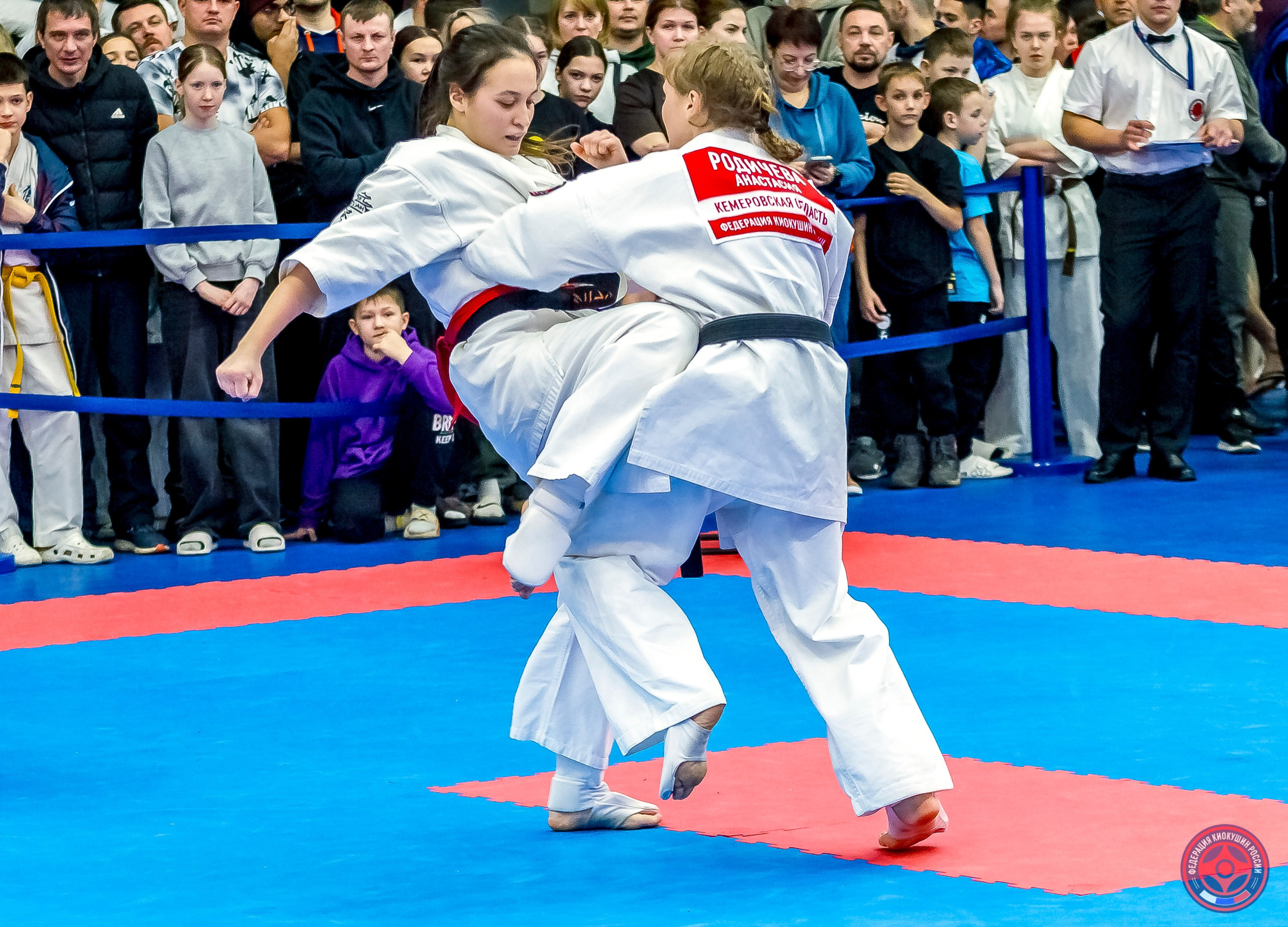 Международный турнир по киокушин «Открытый кубок Seiken». Репортажная съемка в Москве и области. Анималистика