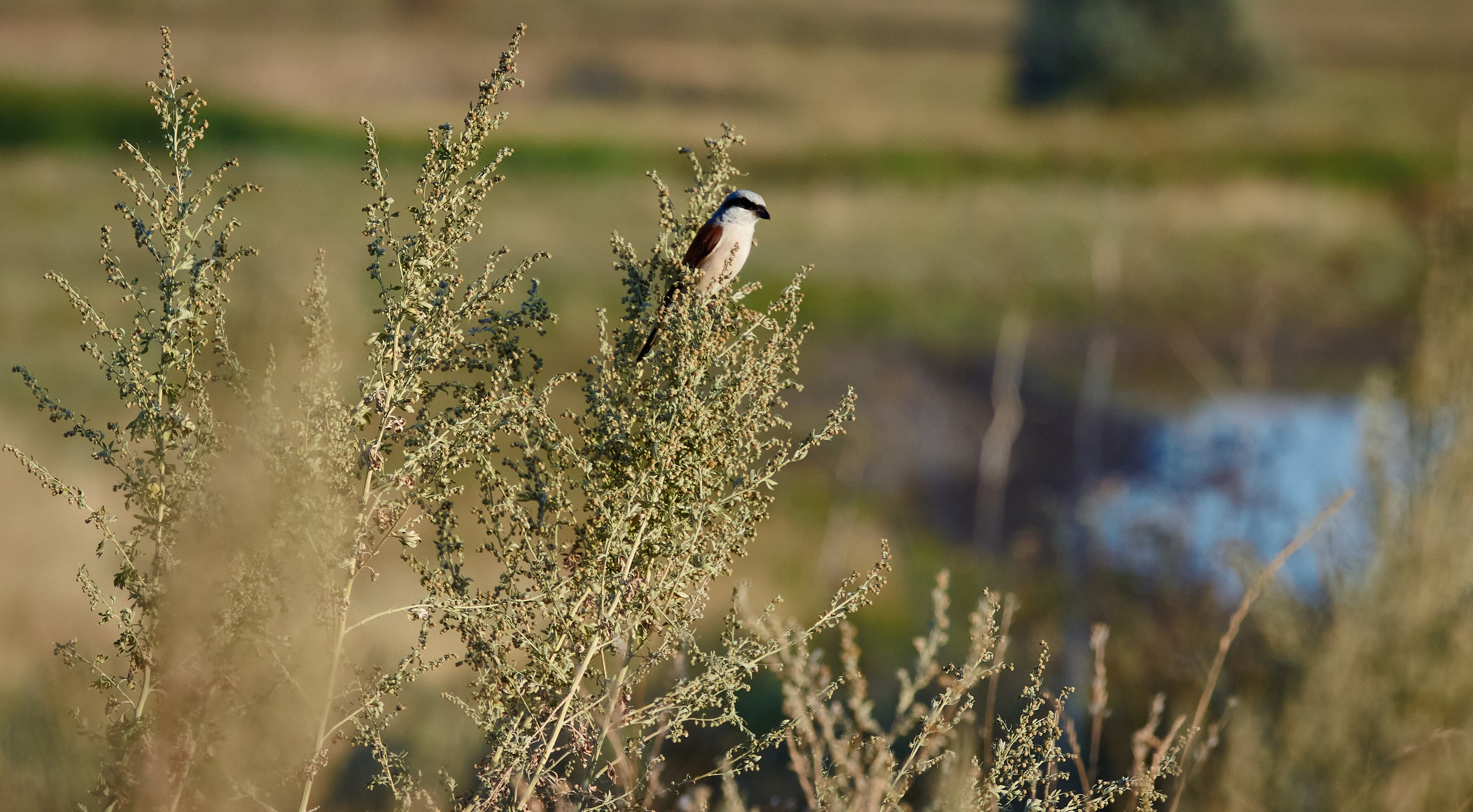 Крым. Пейзажи Крайнего Севера. Баренцево море, Рыбачий, Средний, Немецкий