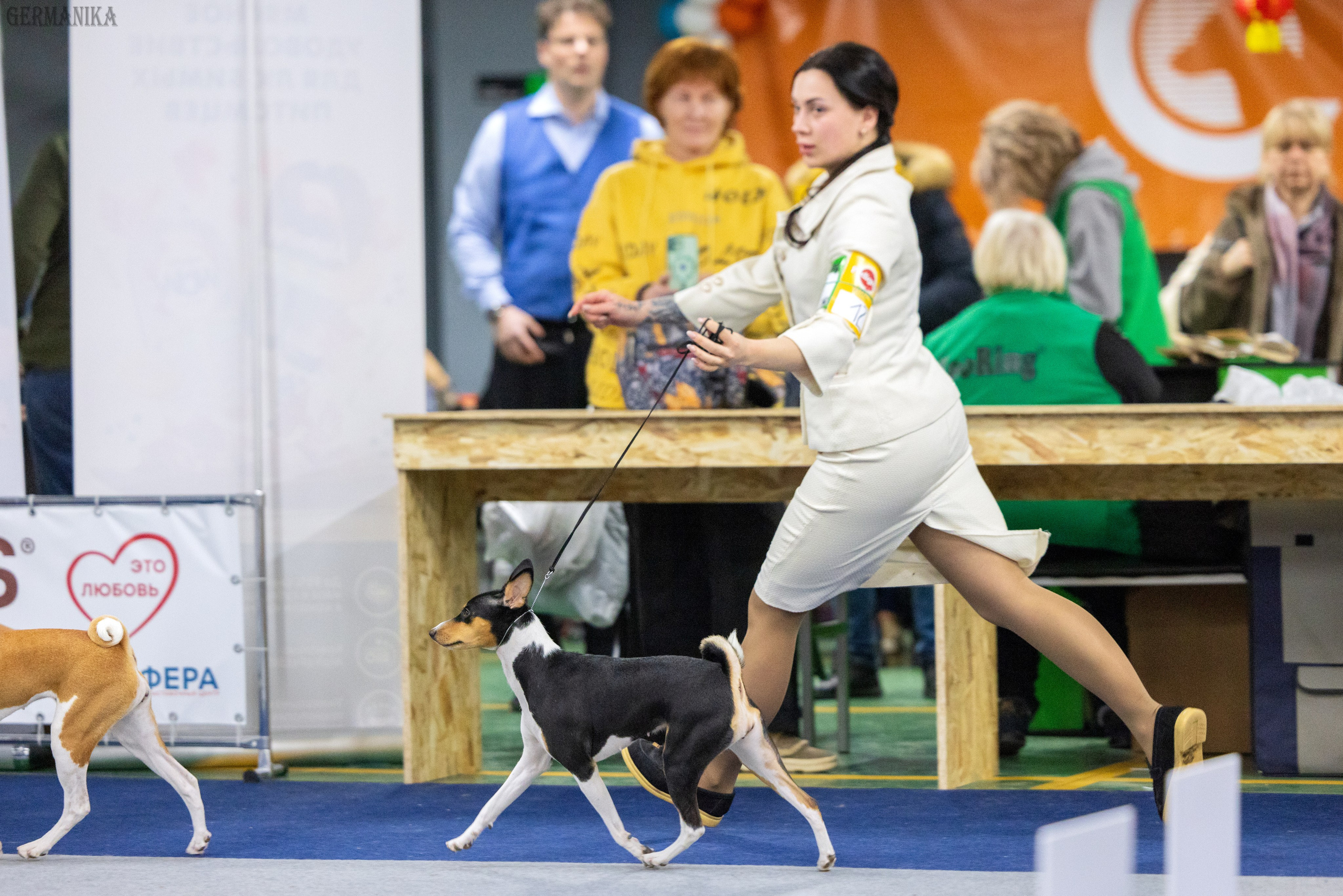 Крокус 10.02,Сфера 11.02.2024. Фотограф-анималист Юлия Германика