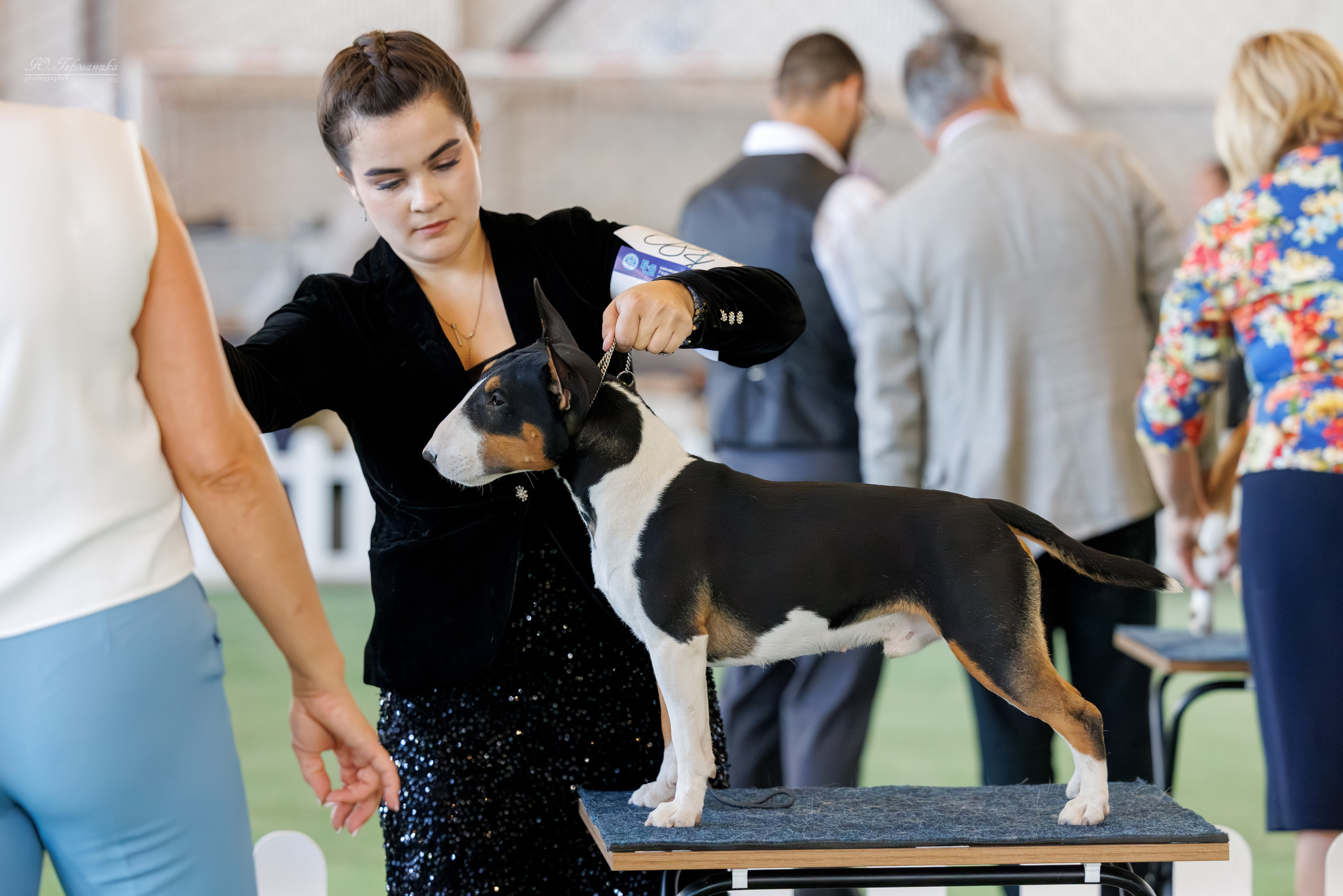 Батуми 3хCACIB 27-29.06.2025. Фотограф-анималист Юлия Германика