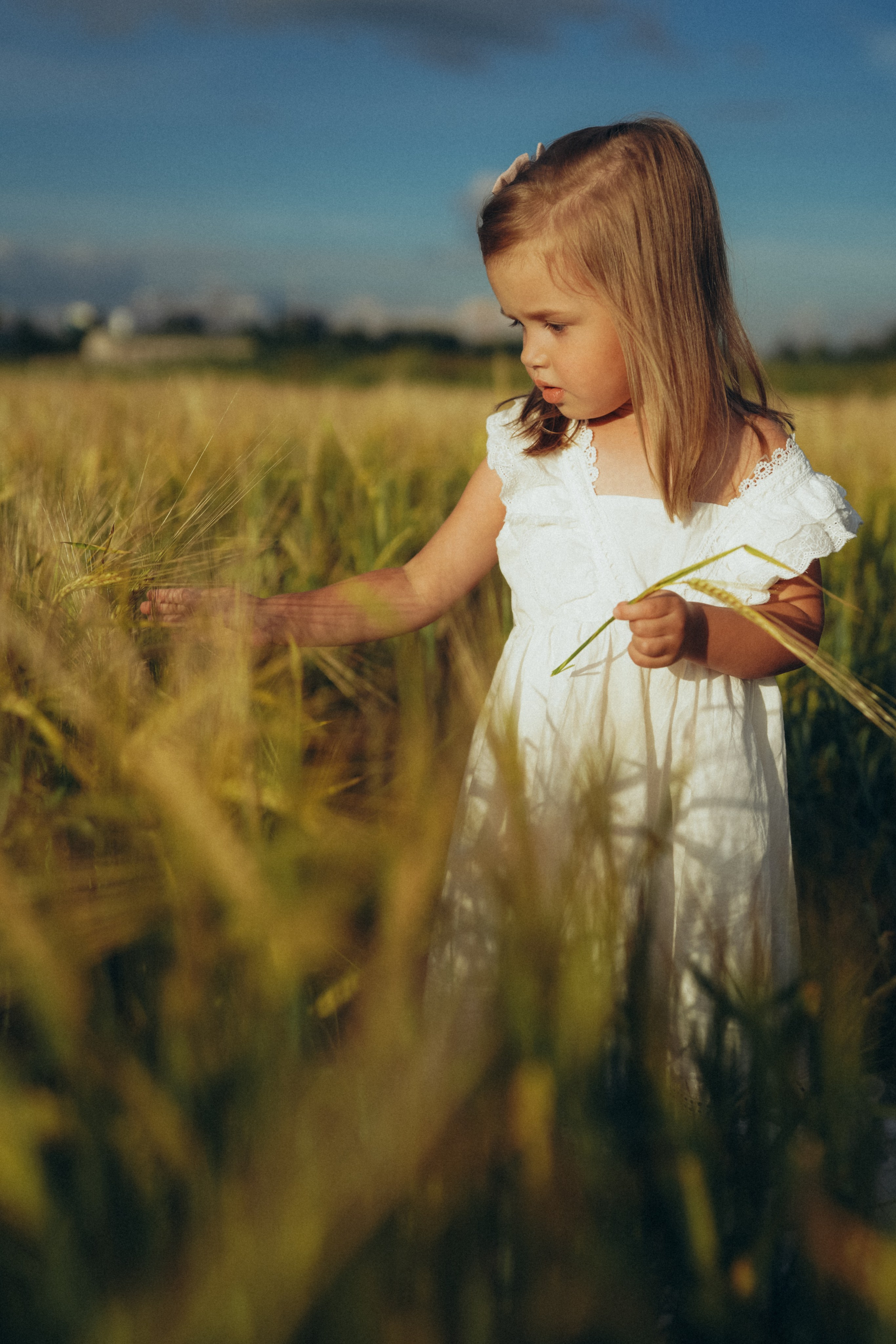Пшеничное поле. Семейный и женский фотограф в Санкт-Петербурге Татьяна Стружкина