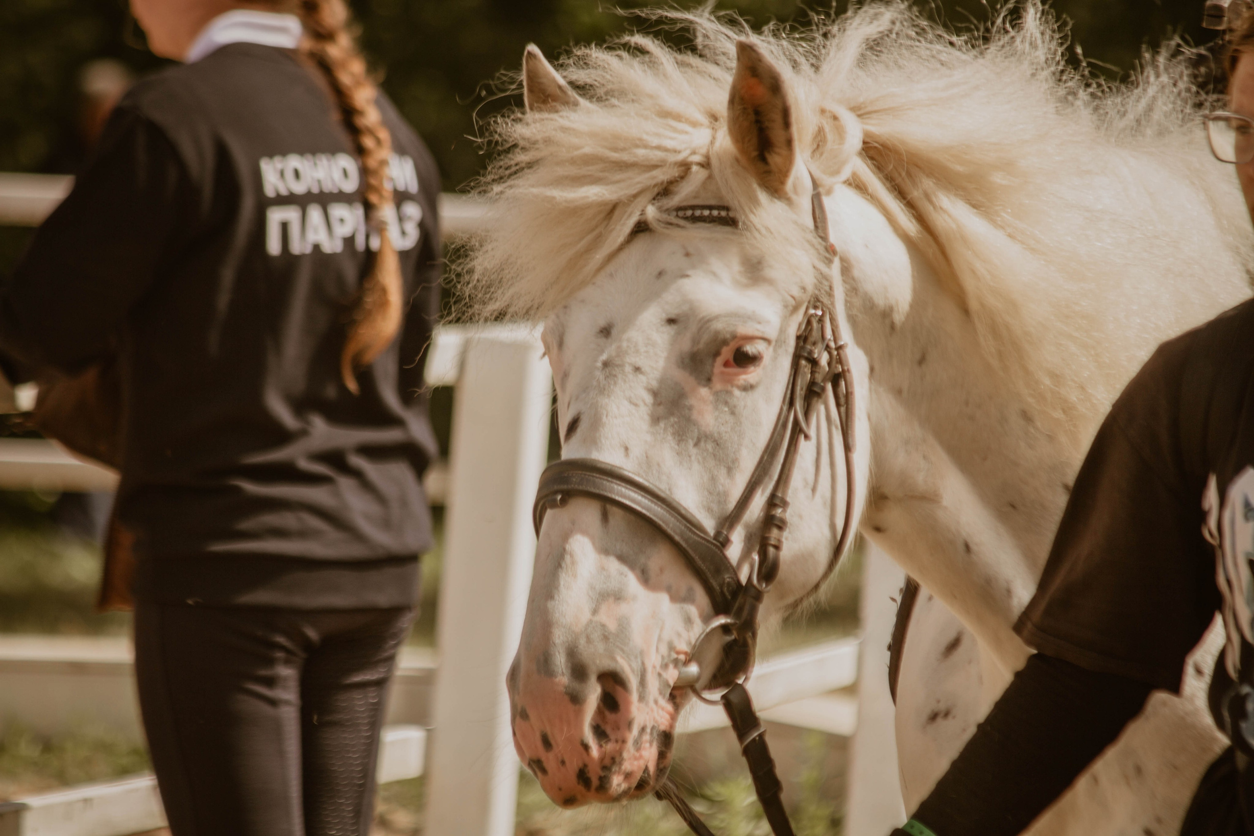 ИППОСФЕРА — Международная конная выставка. Создадим шедевр? Виталина и её фотоискусство