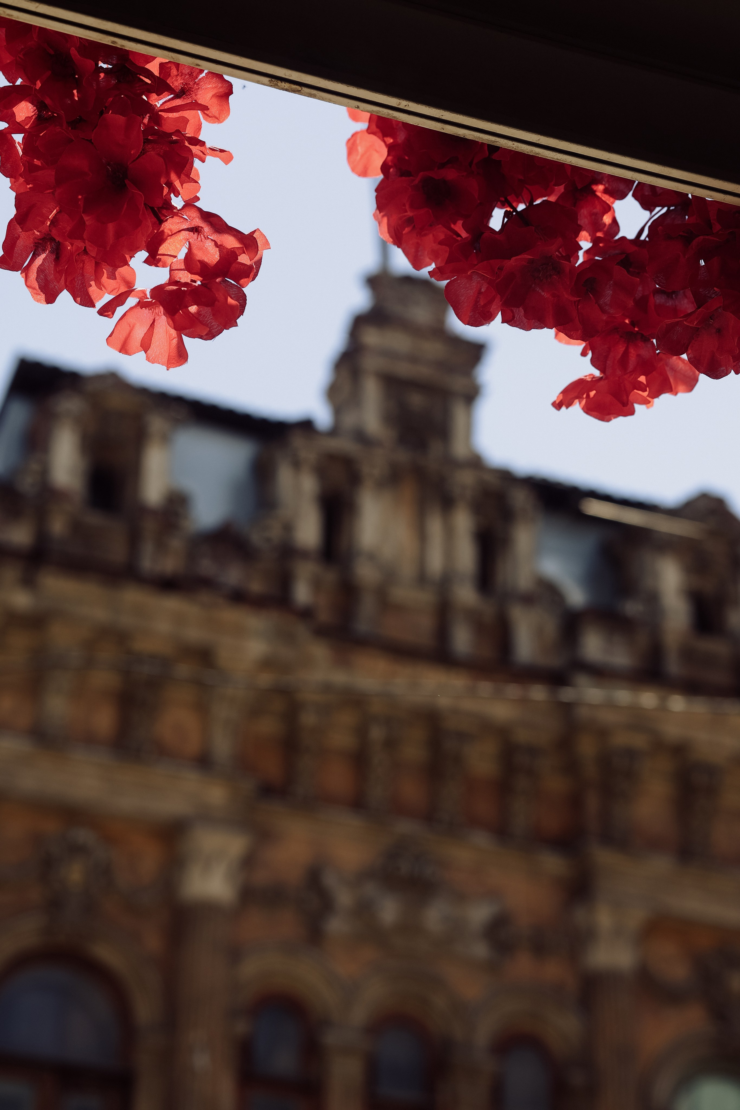 Я выбираю тебя сегодня и каждый день…. Свадебный и портретный фотограф | Ростов-на-Дону | Краснодар