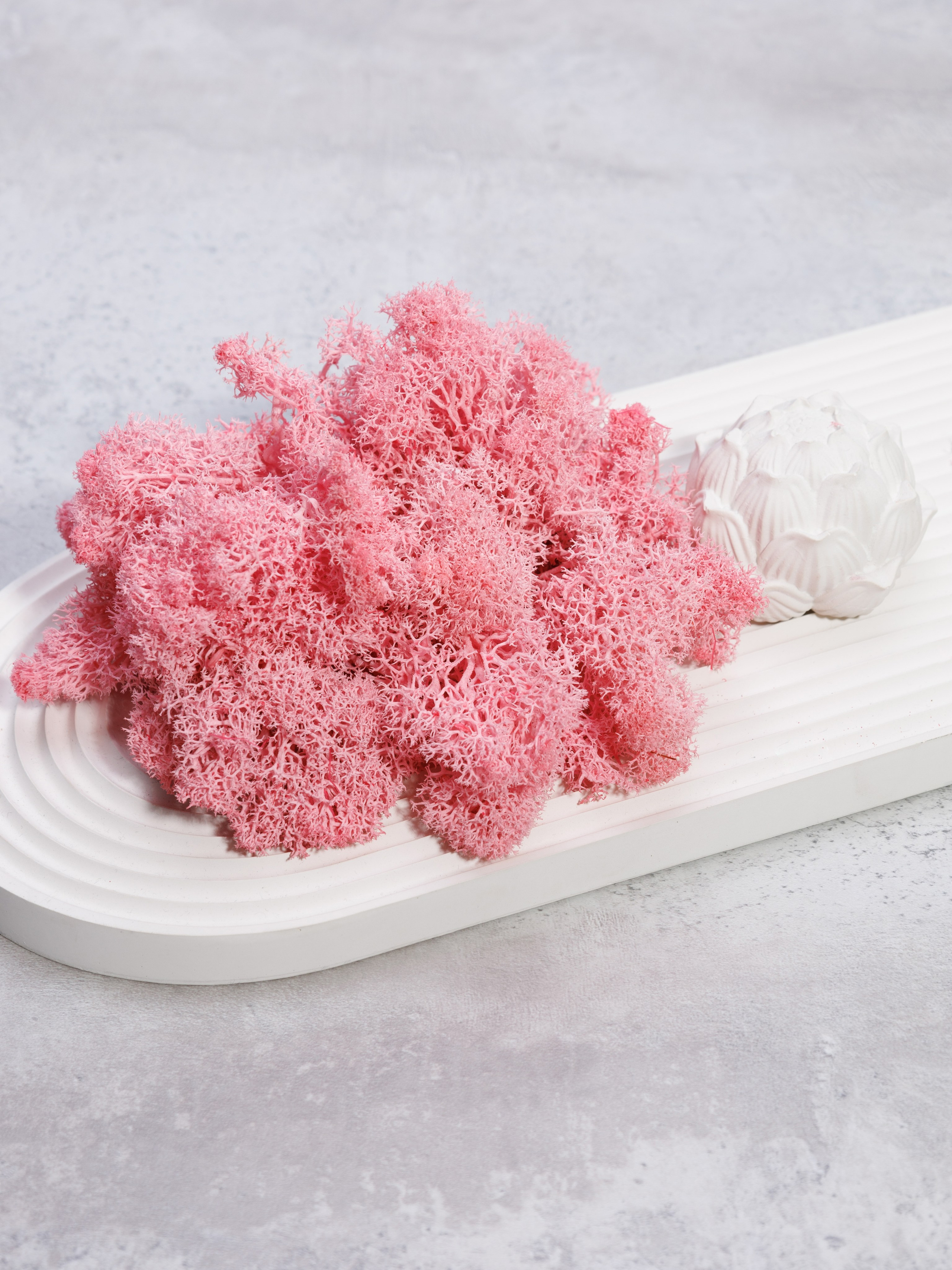 Предметная съемка в интерьере. Главная