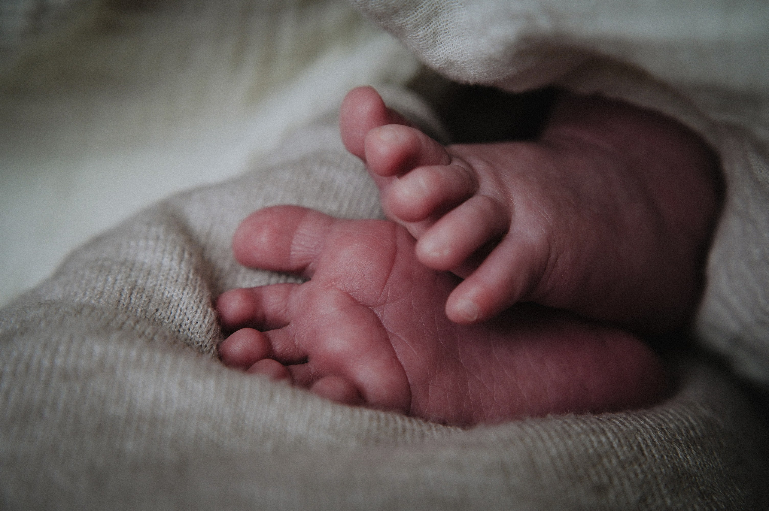 Давид. 04.02.2026. Фотограф СЕМЬИ и ДЕТСТВА в Краснодаре и Краснодарском крае Екатерина Москат