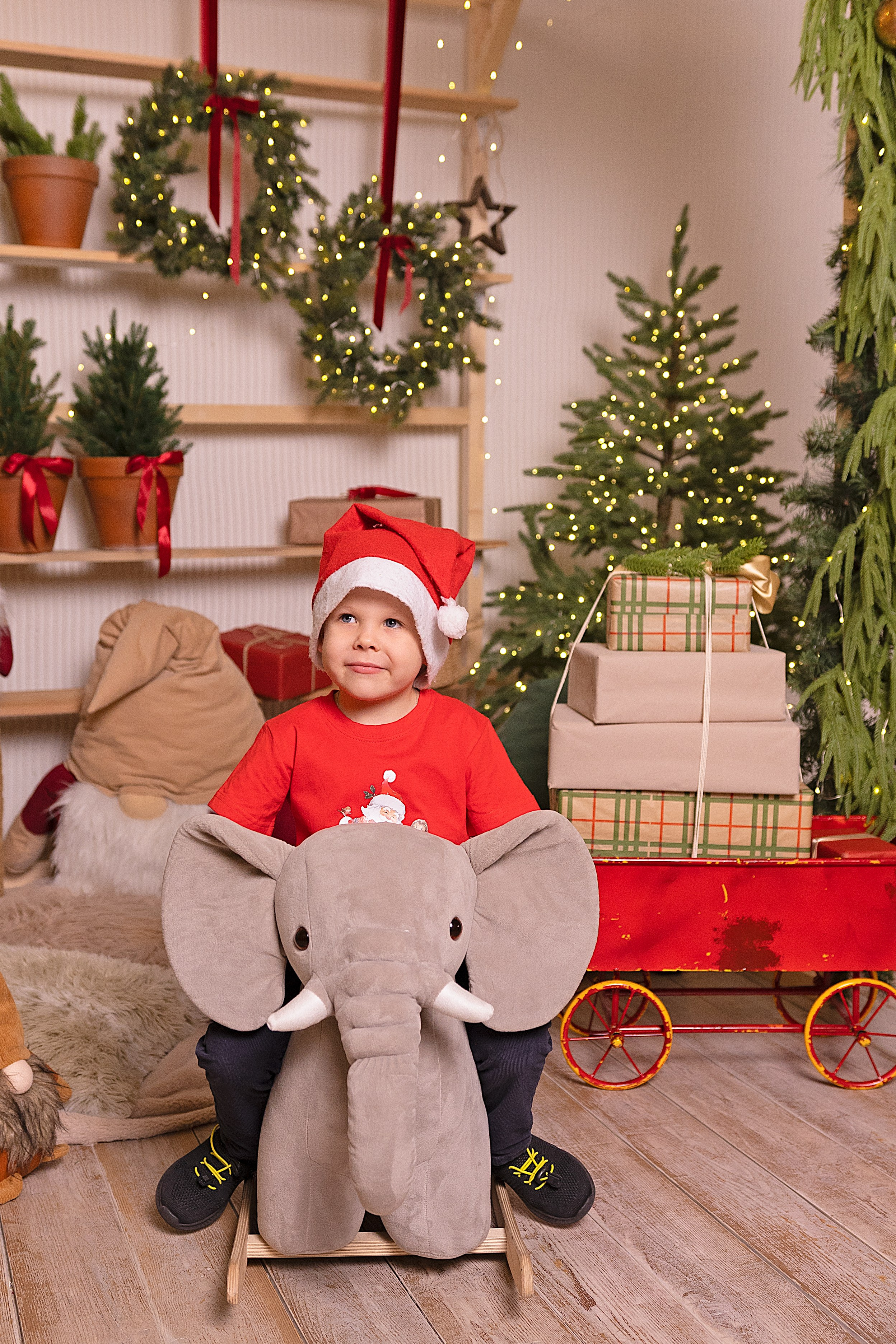 Новогодняя фотосессия. Семейный Фотограф в Красноярске Анастасия Попова