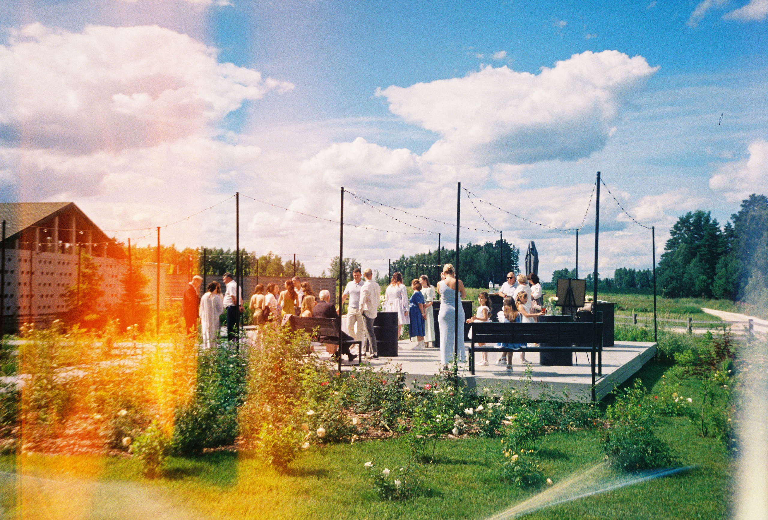 Илья & Екатерина (только плёнка). Фотограф Москва|Комиссарова Наталья