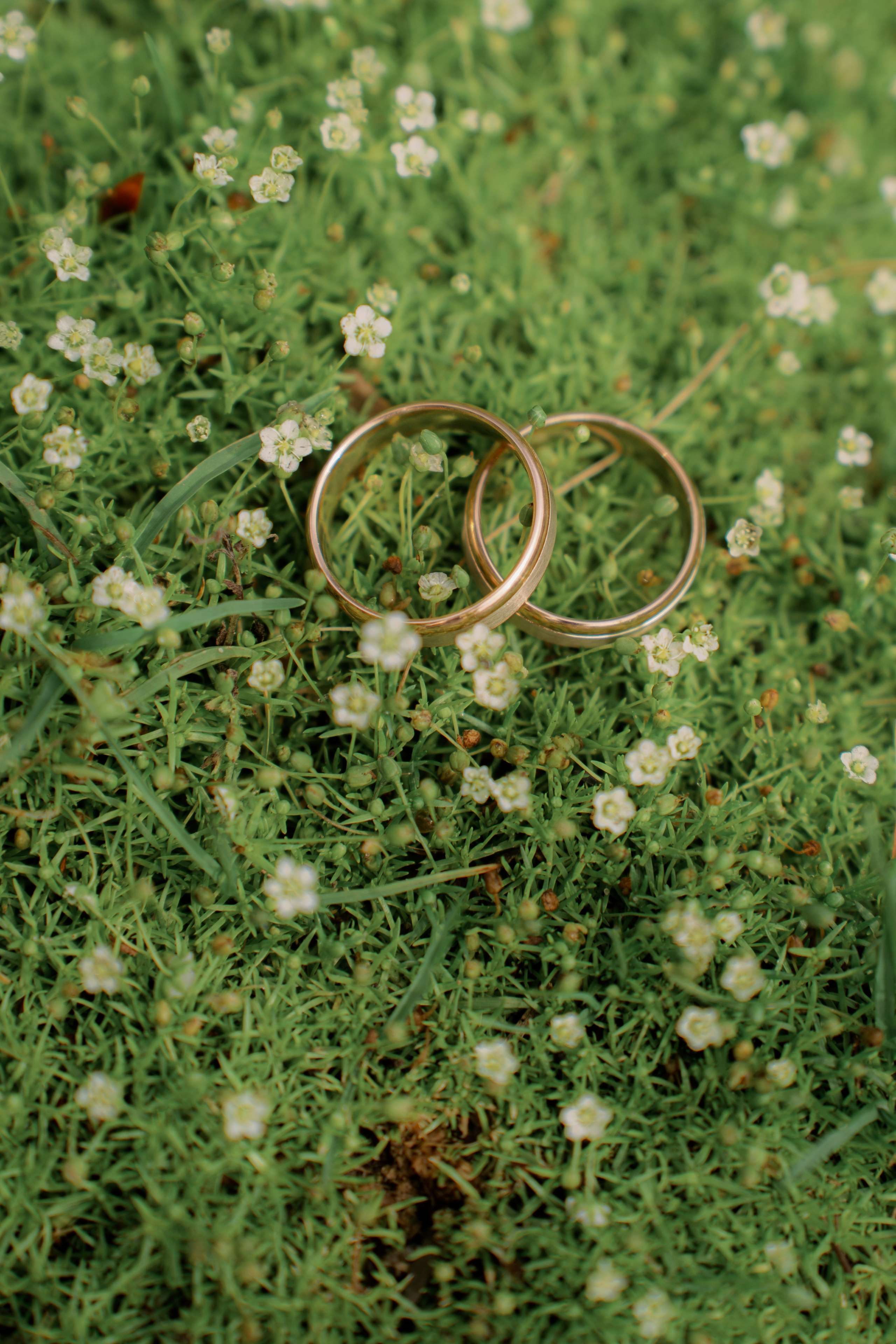 Игорь Настя. Фотограф Томск Новосибирск Елизавета Вахтеева