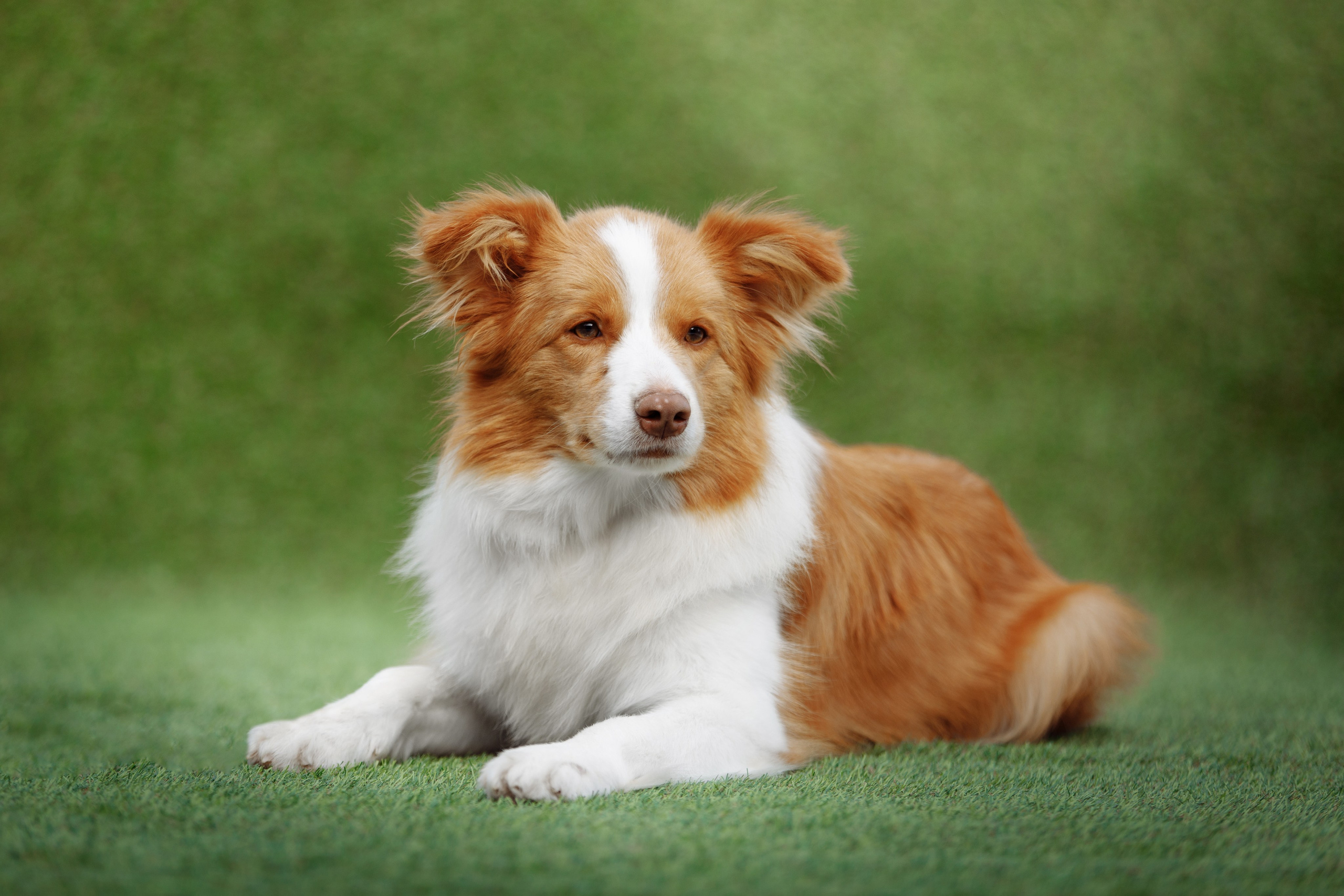 Свое место. О нас