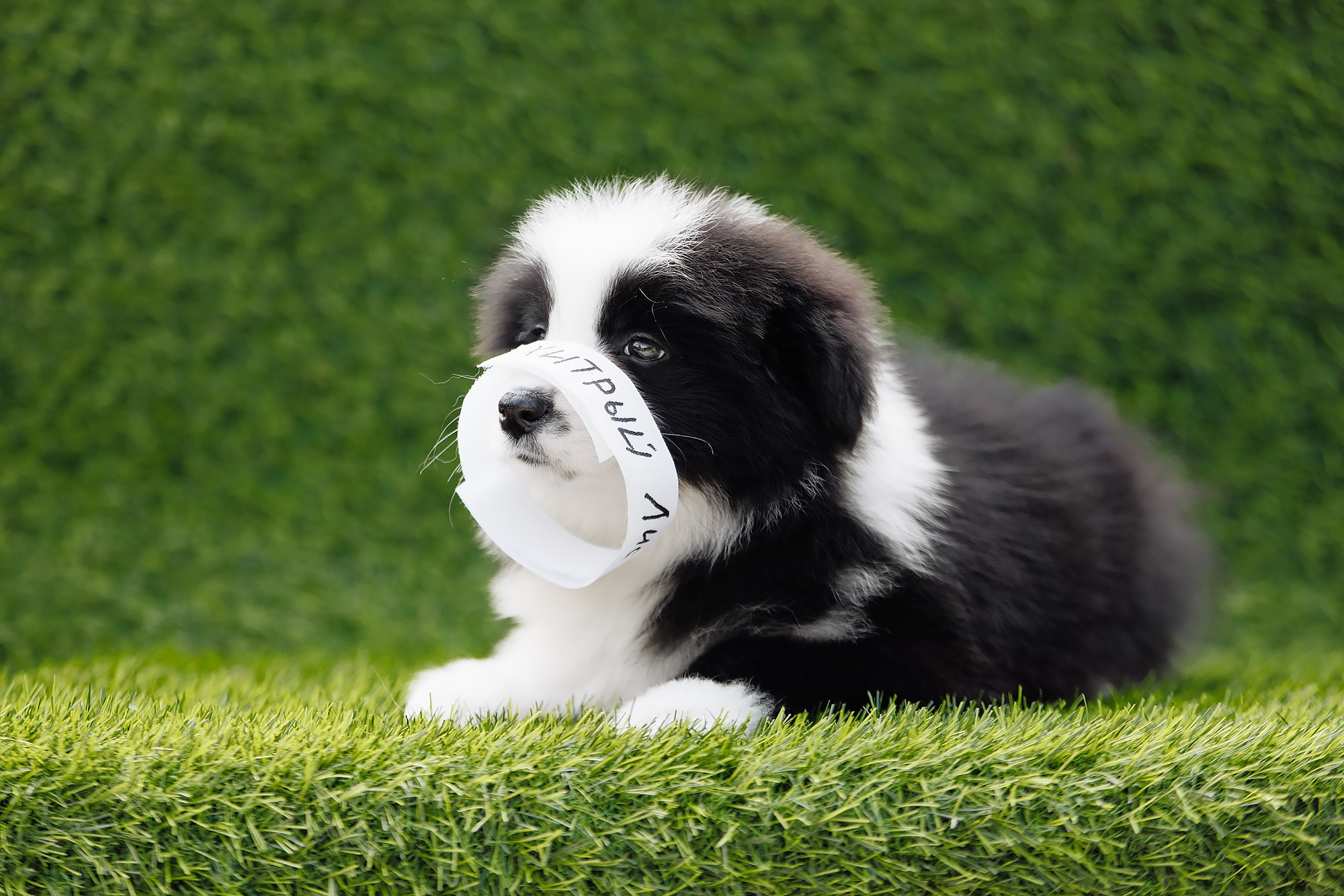 Новый лист. О нас