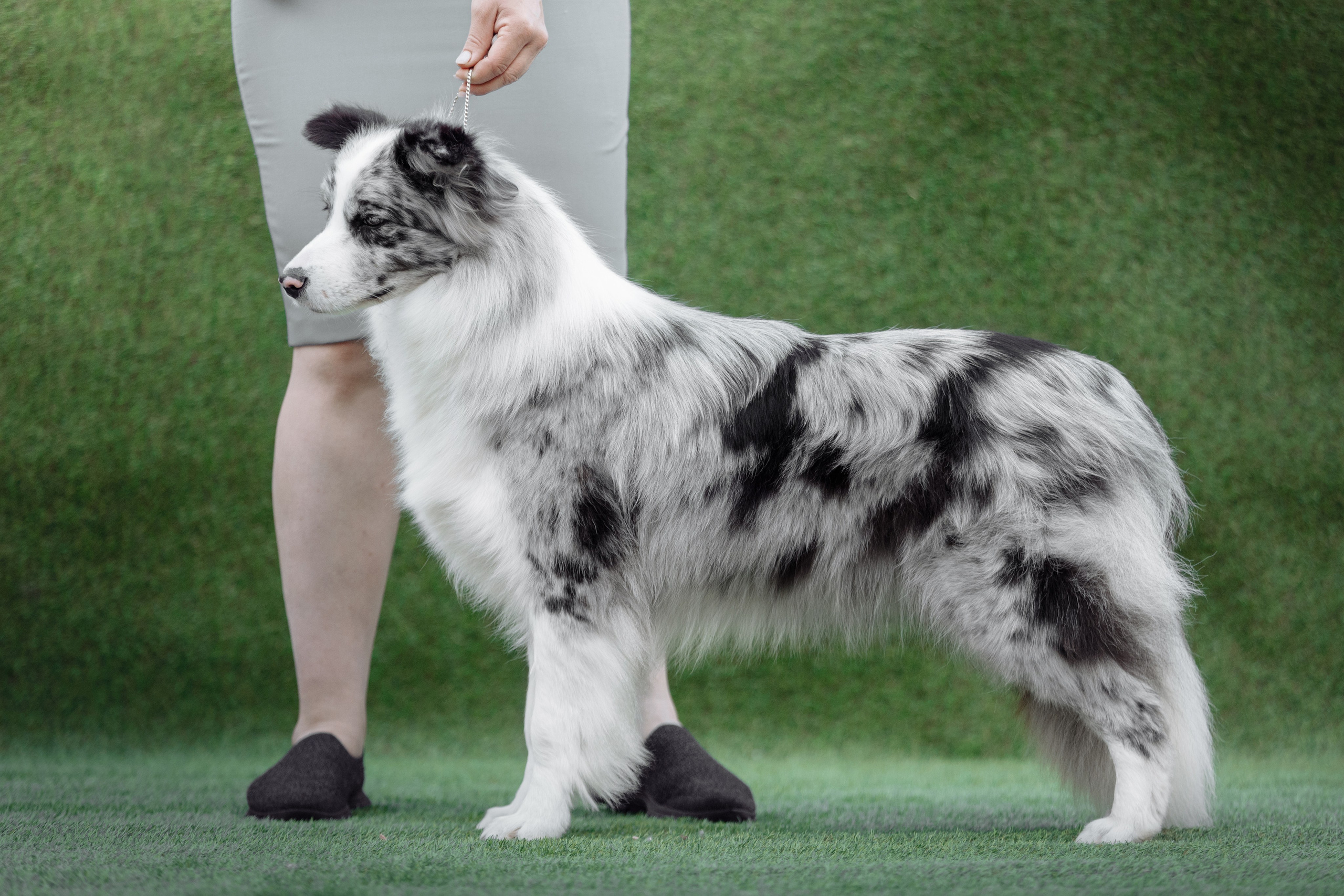 Свое место. О нас