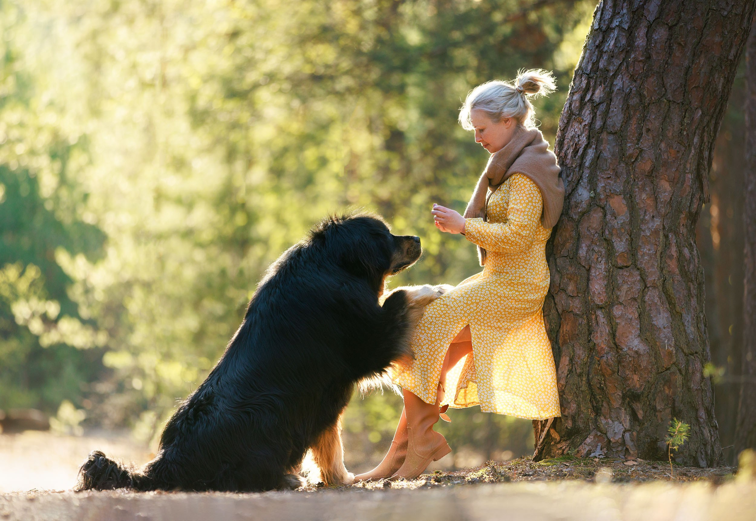 Фотосессия с тибетскими мастифами и бишон фризе. Фотограф-анималист в Москве и Московской области Татьяна Фролова