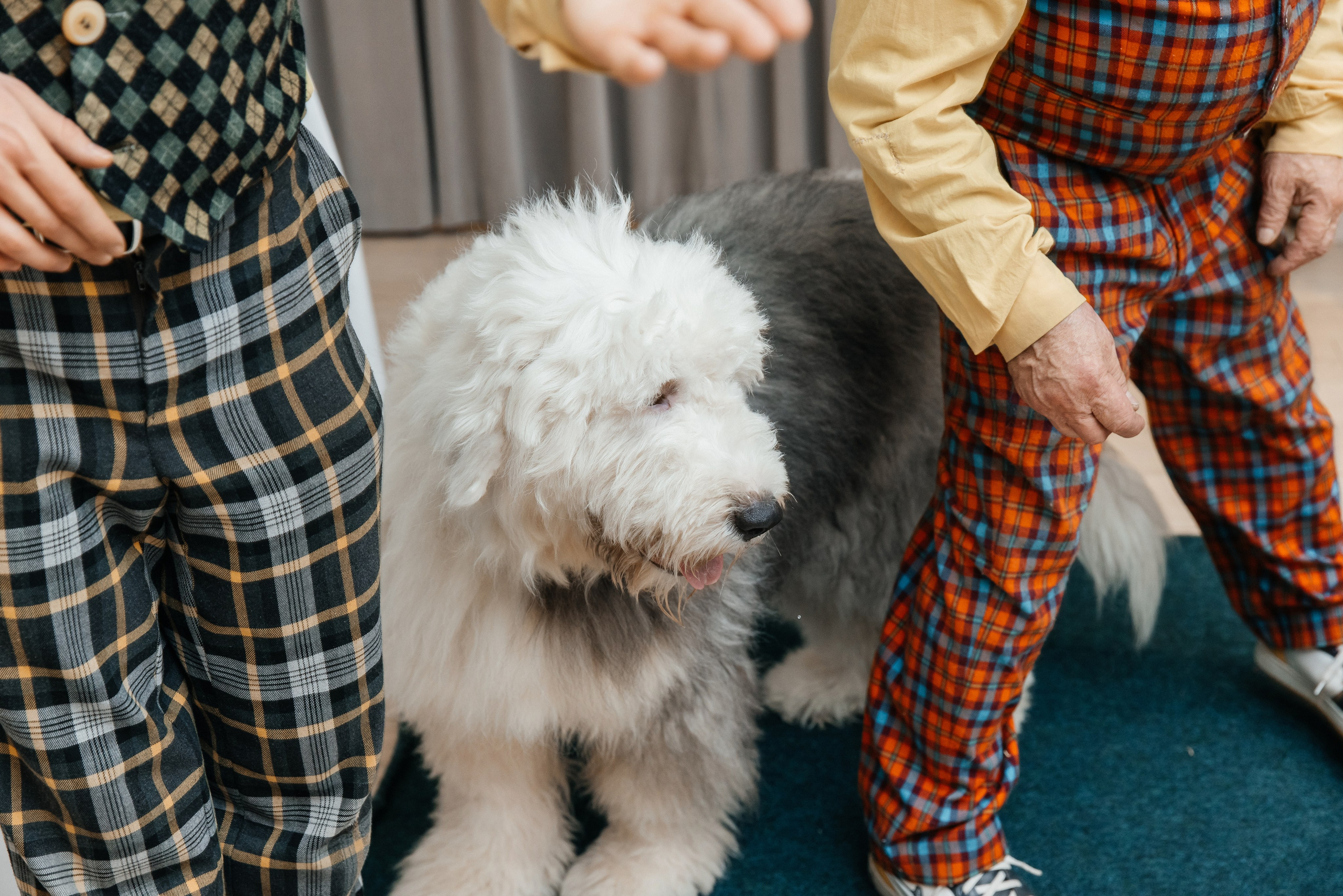 Даниил 4 года. Фотограф Москва Шептаев Артём