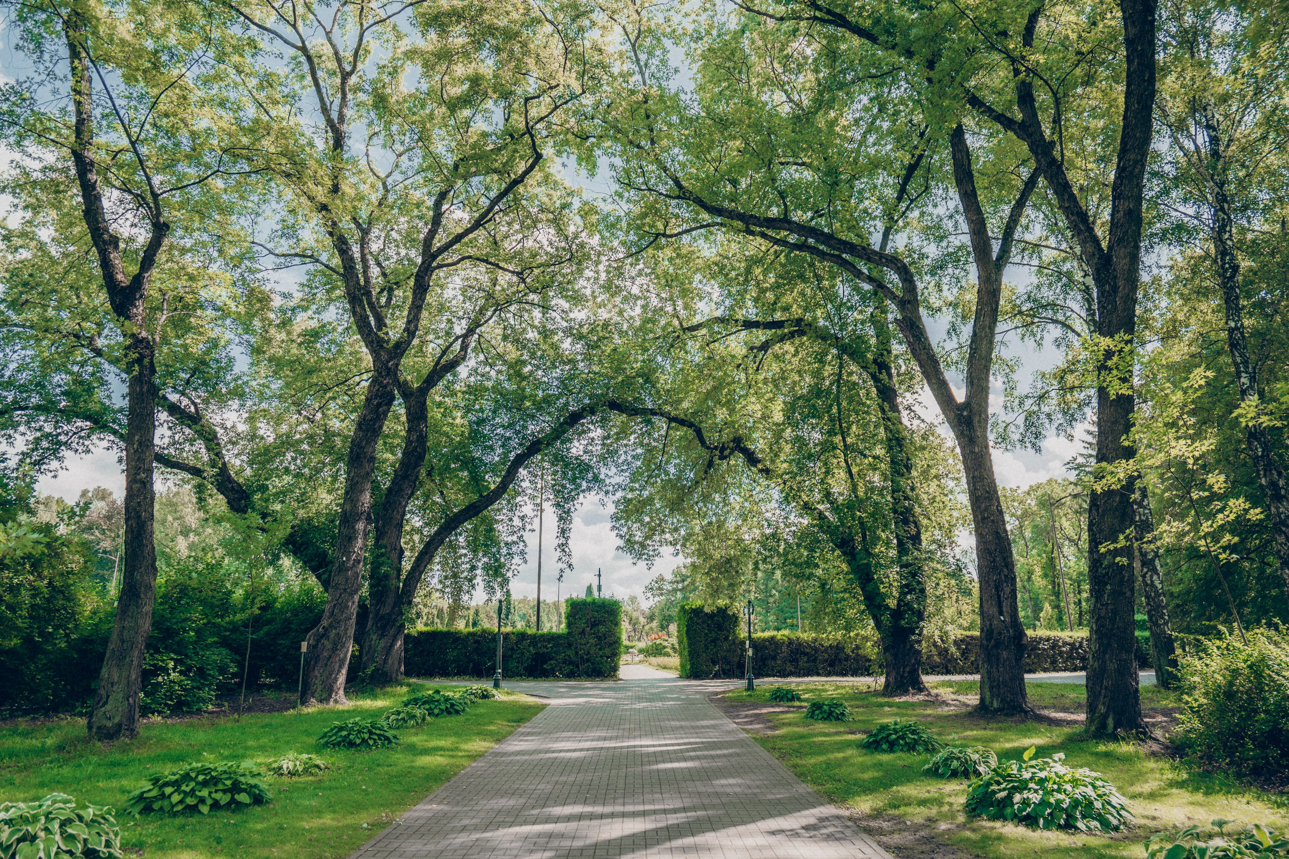 Прогулка в ботаническом саду