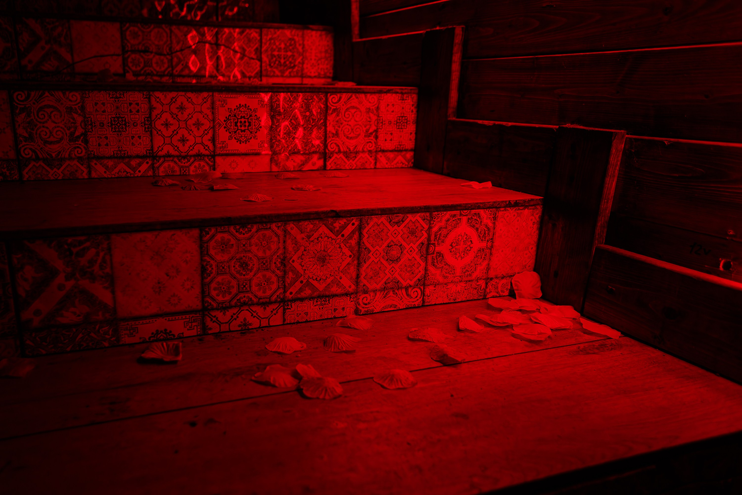 День влюблённых_El Pastor_Симферополь_14.02.2025. Аминов Руслан | Фотограф