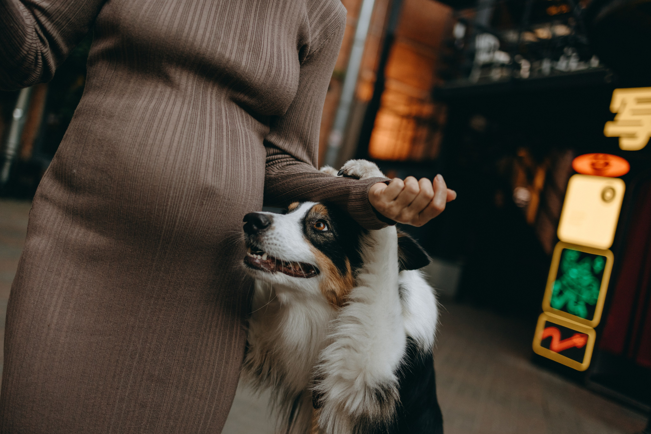 Катя и ее девочки. Фотограф — Анималист | Санкт-Петербург