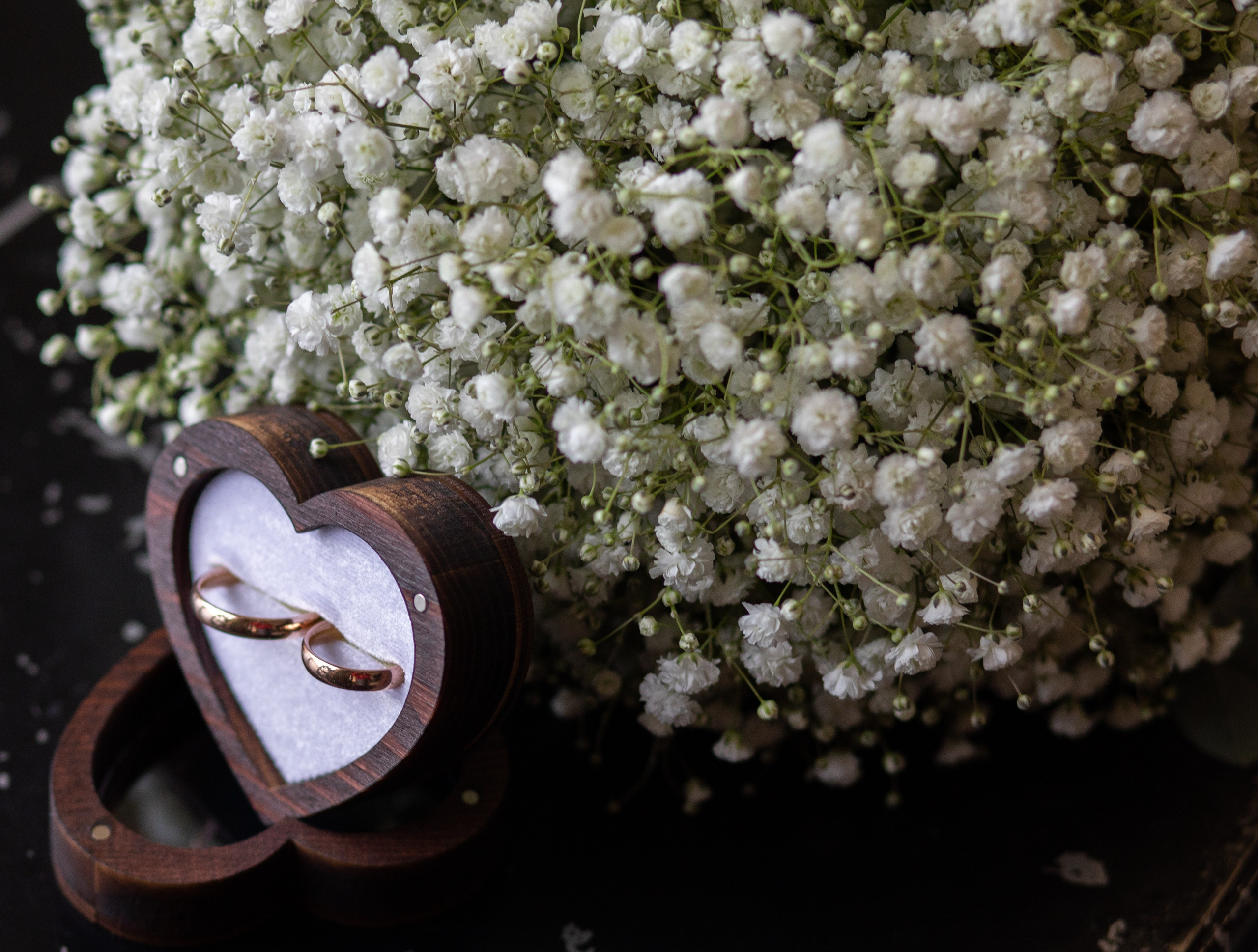 Фотограф Сергей Сергеевич