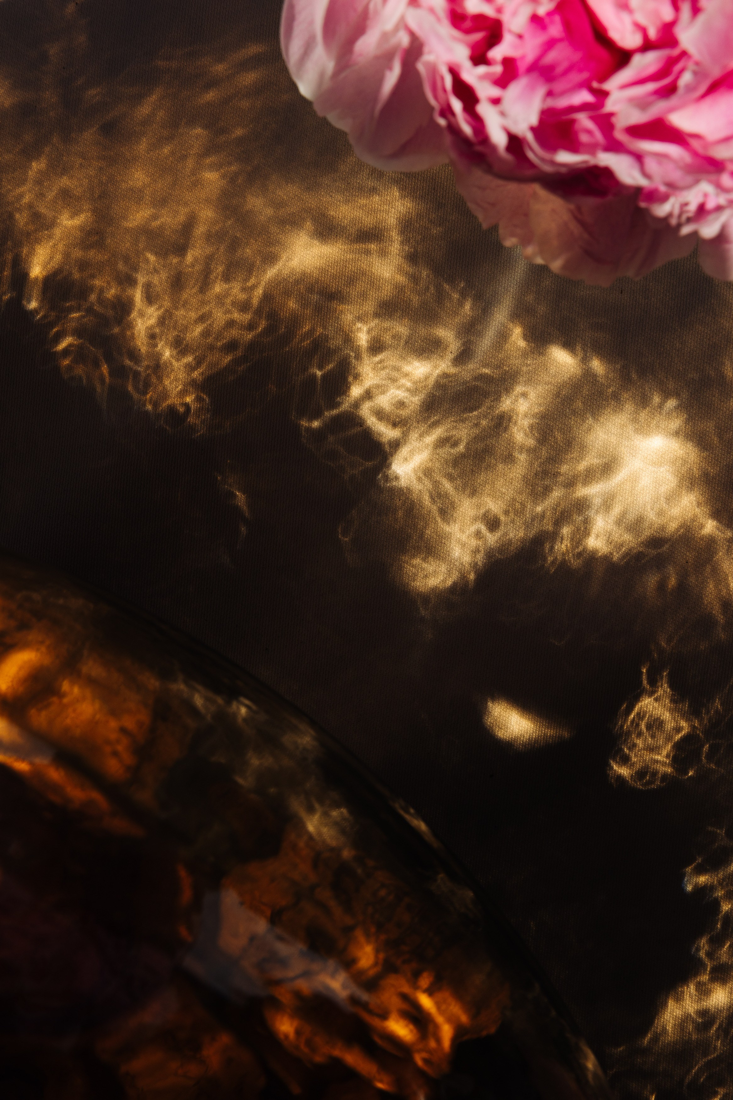 РЕСТОРАНЫ. Контент фотограф в Москве Ник Фрост