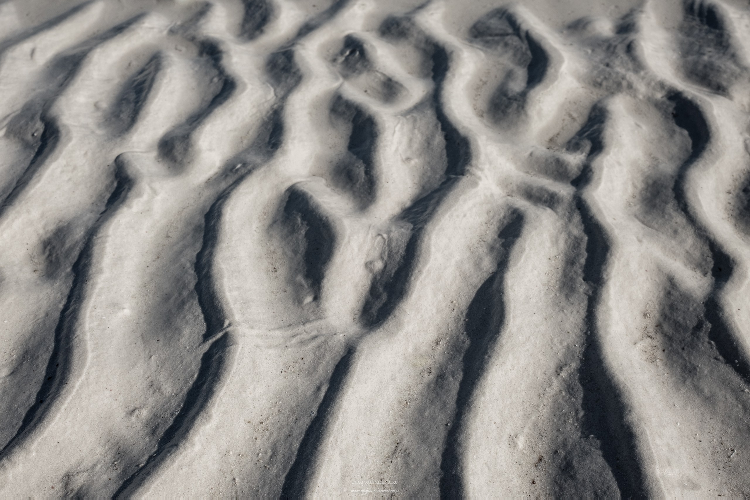 Осязаемая красота. Авторские стильные фотокартины