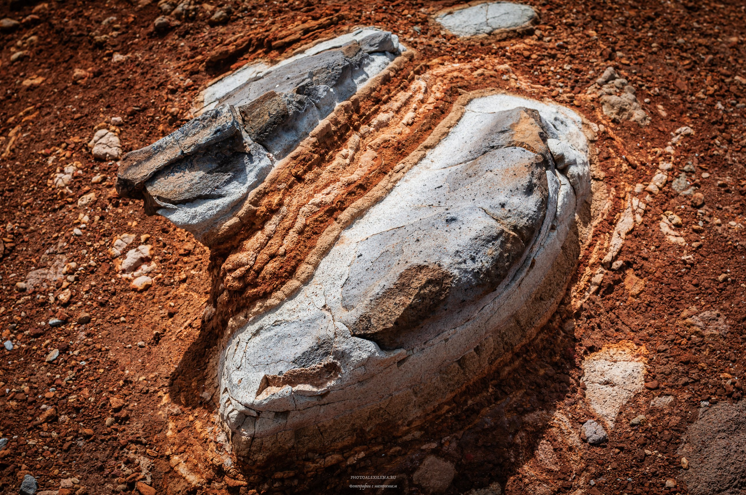 Осязаемая красота. Авторские стильные фотокартины