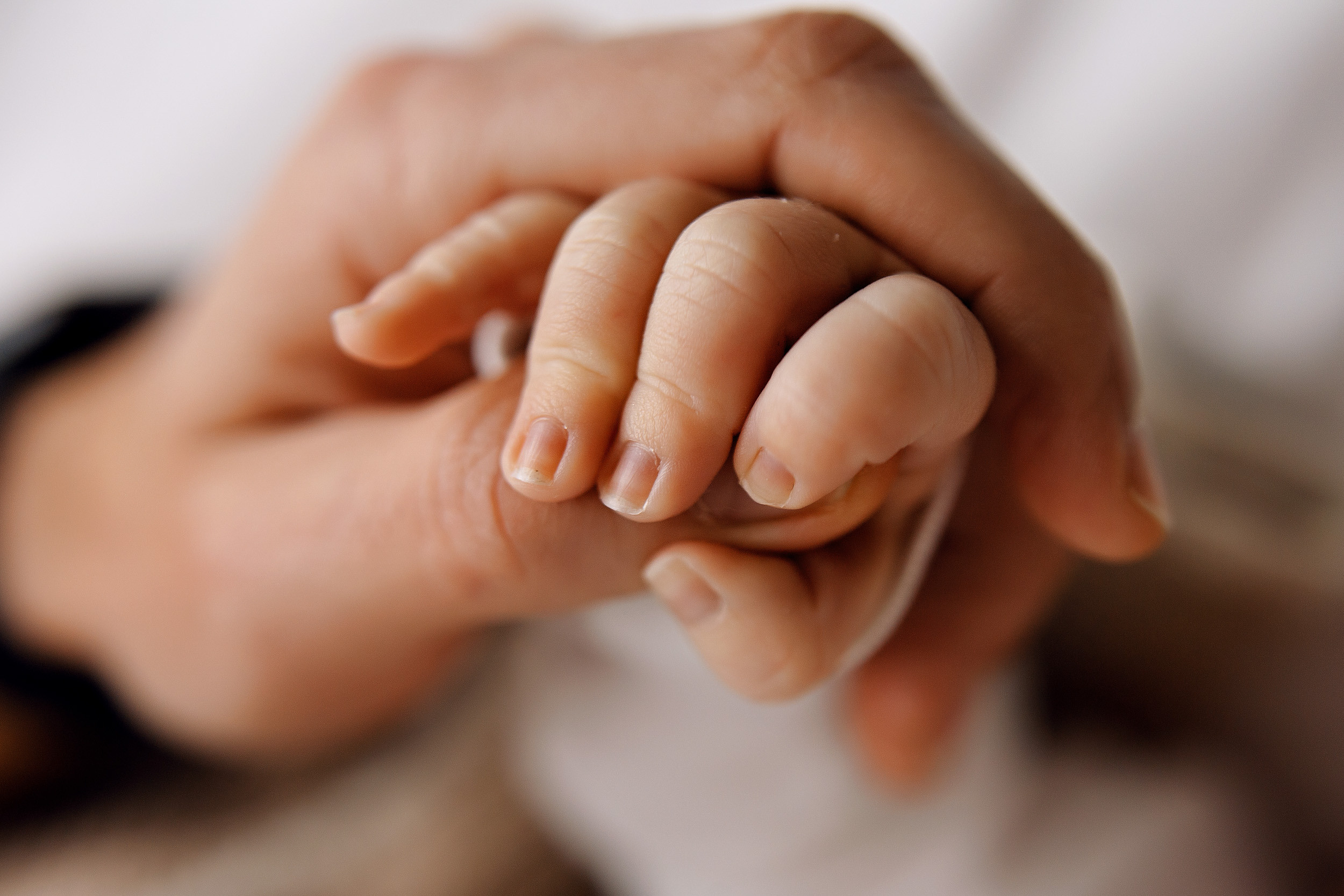 ПЛАТОША, 15 дней Life студия. Фотограф новорожденных Оксана Полевская