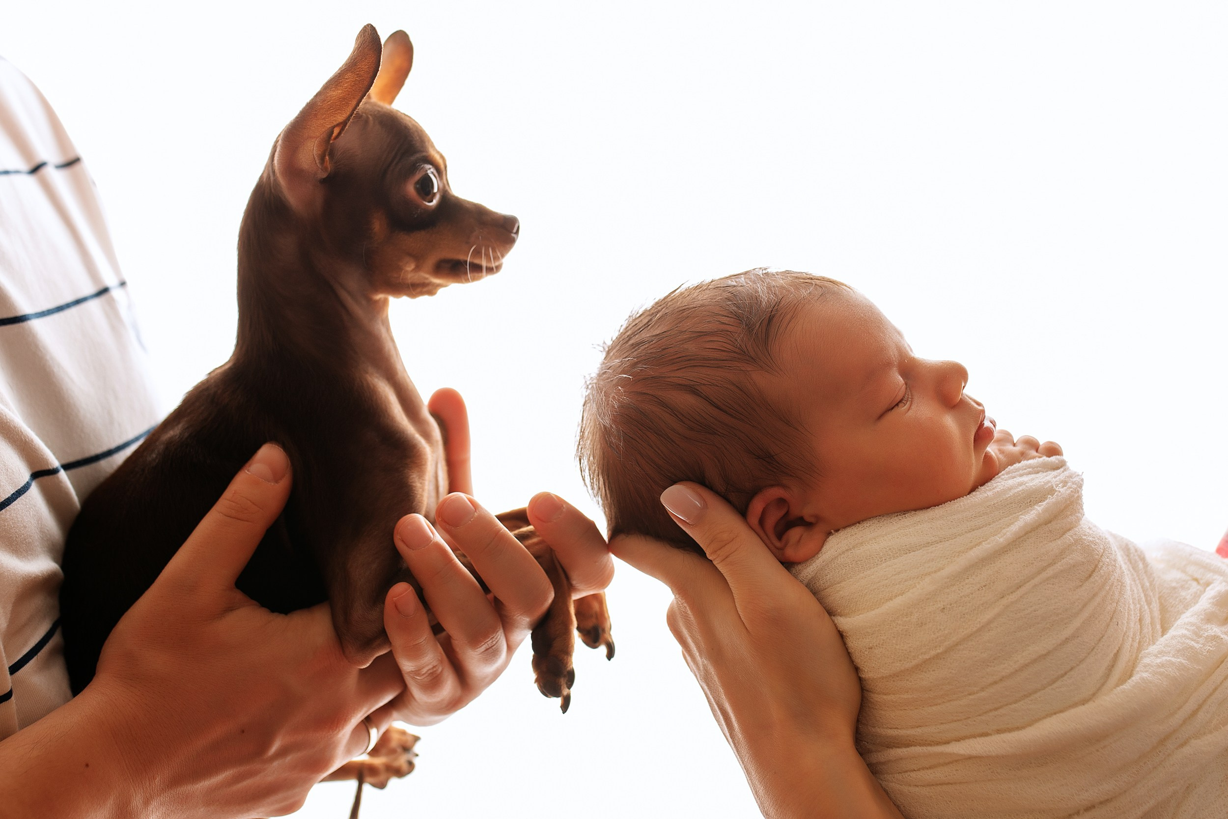 АРТЁМ Classic. Фотограф новорожденных Оксана Полевская