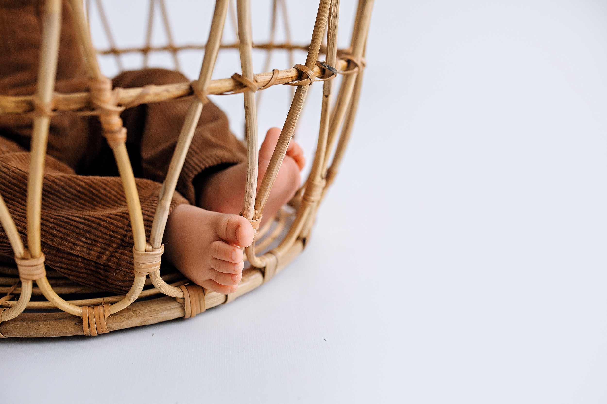 ДАВИД, 1 год студия. Фотограф новорожденных Оксана Полевская