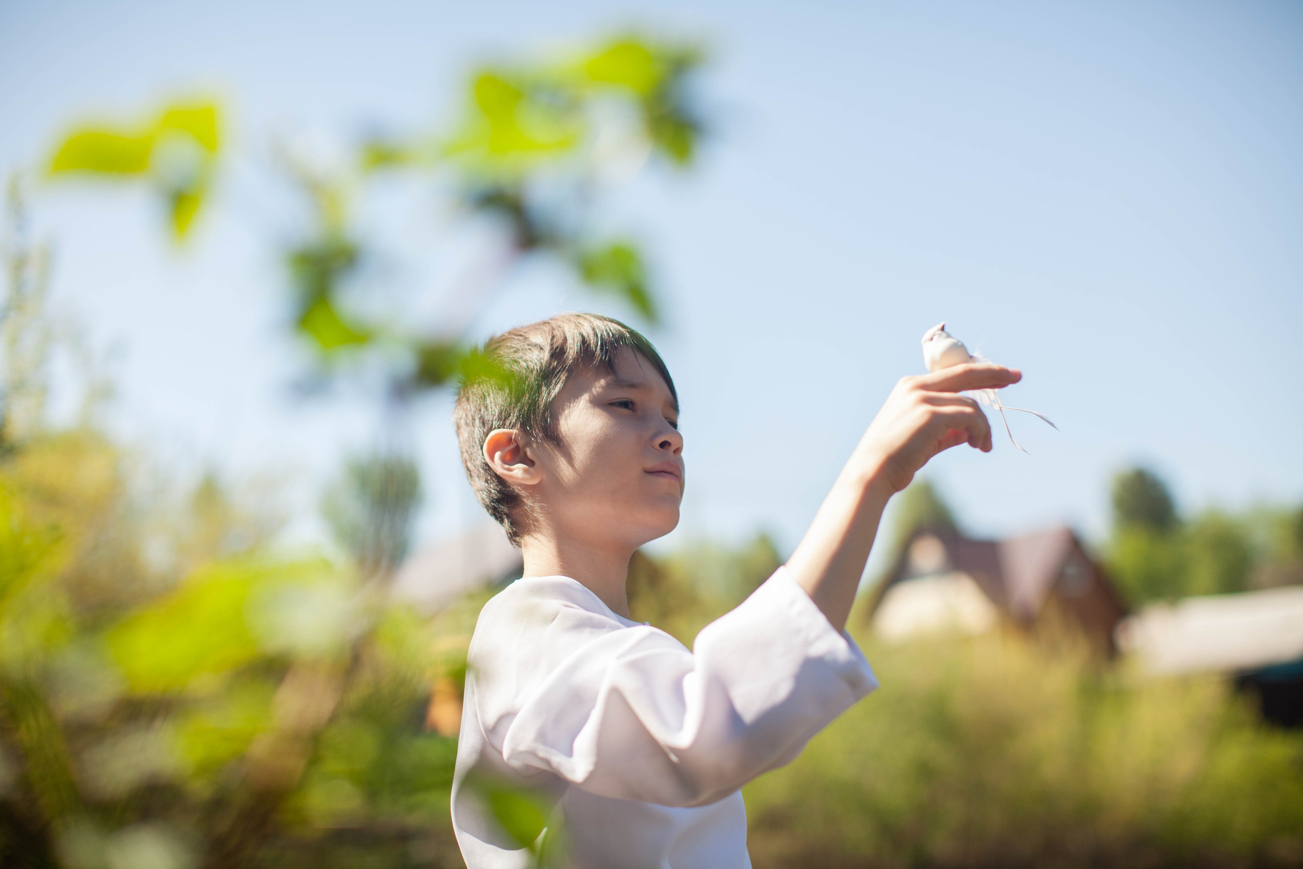 Летний день. Art my Pho