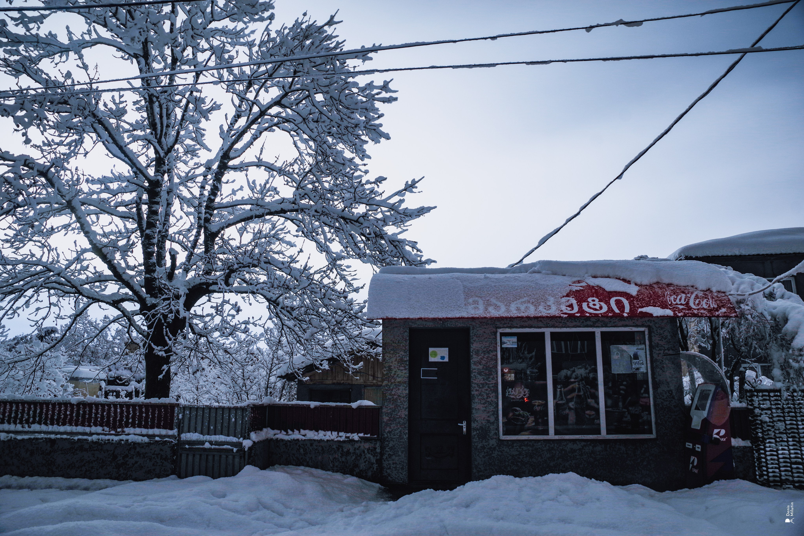 Спящий Менджи зимой. Портретный фотограф Денис Милютин