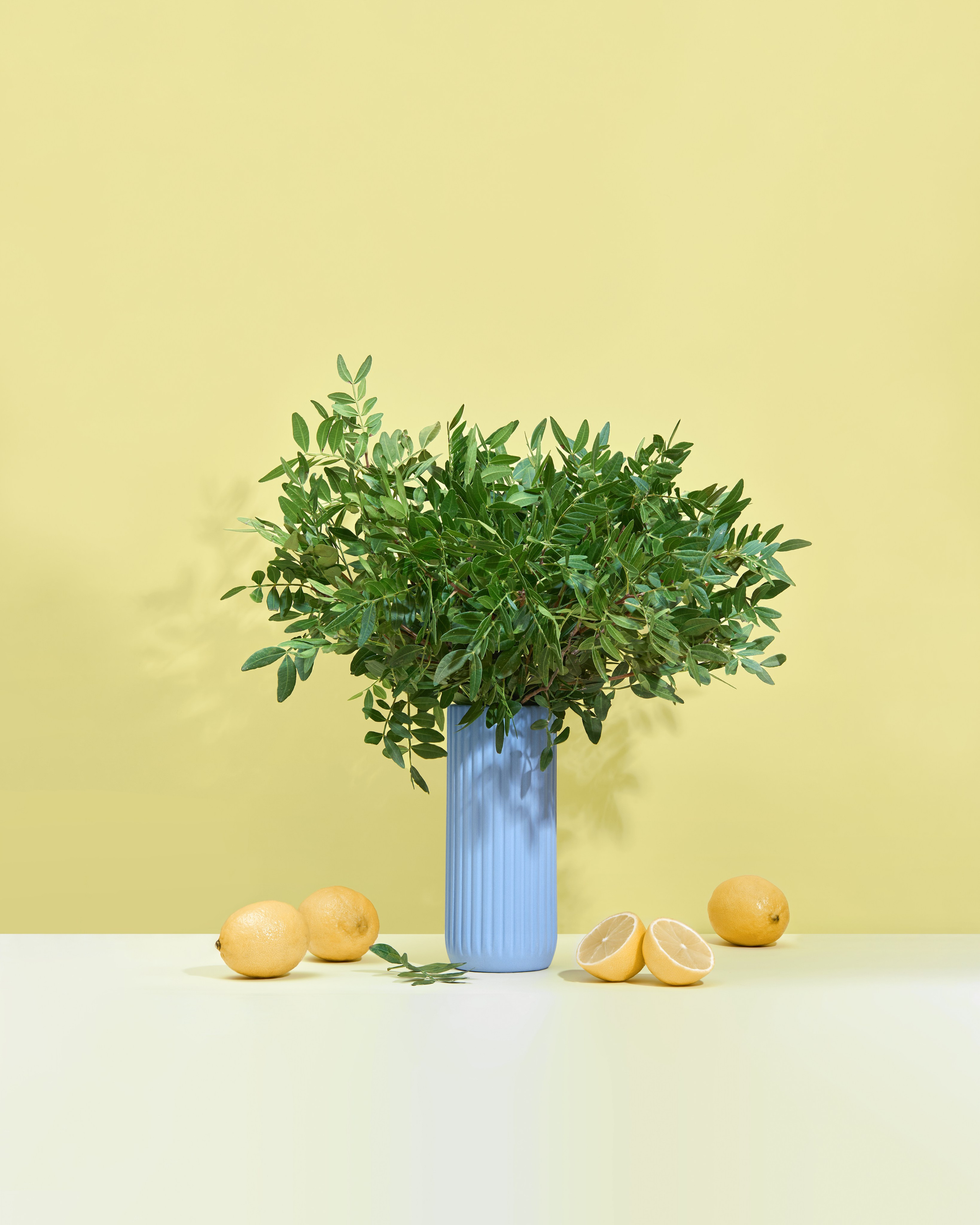 ИМИДЖИВЫЕ СЪЕМКИ. Предметный фотограф в Москве