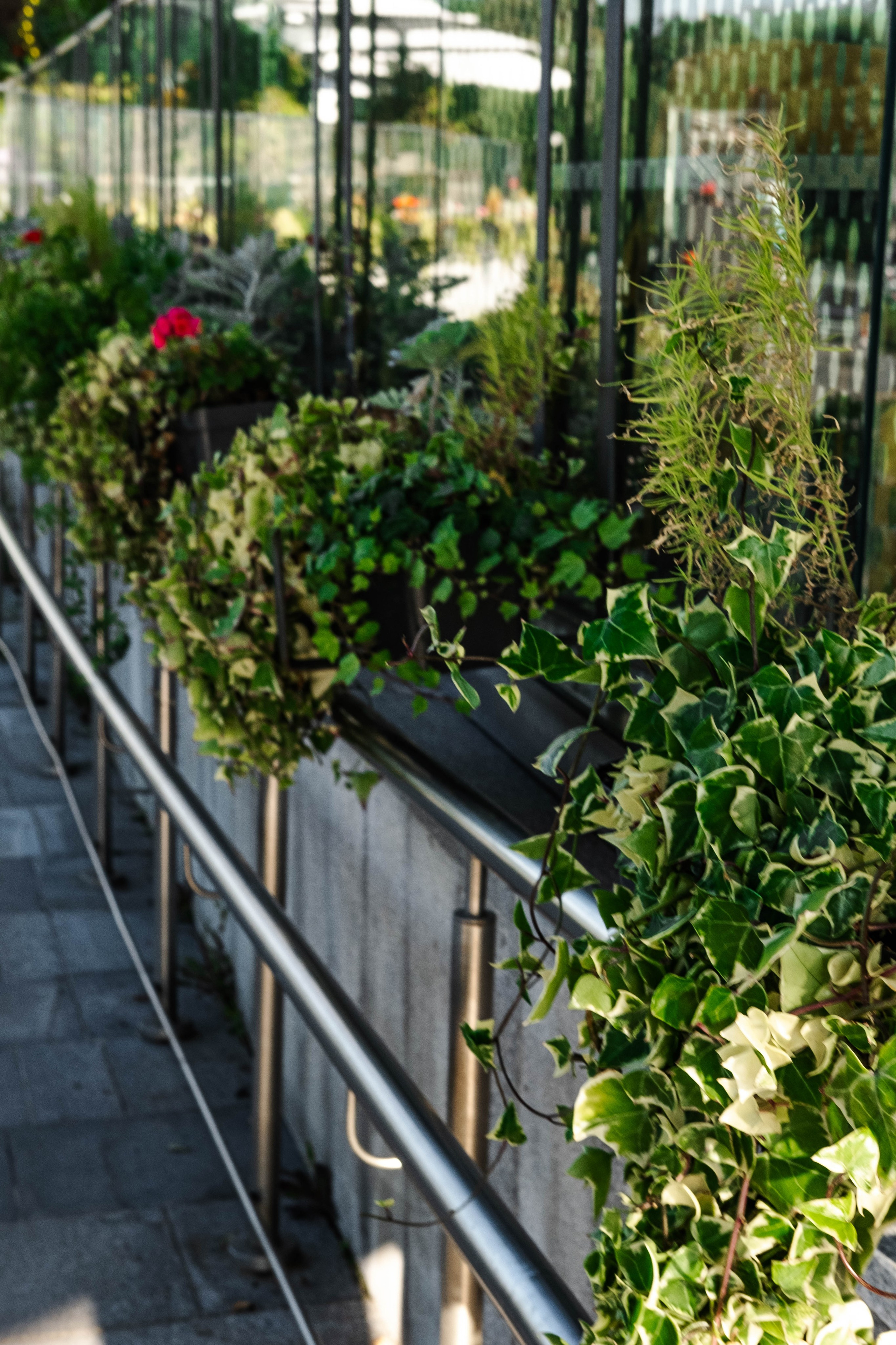 Москва 2024. Свадебный и семейный фотограф в Новосибирске, Санкт-Петербурге, Москве