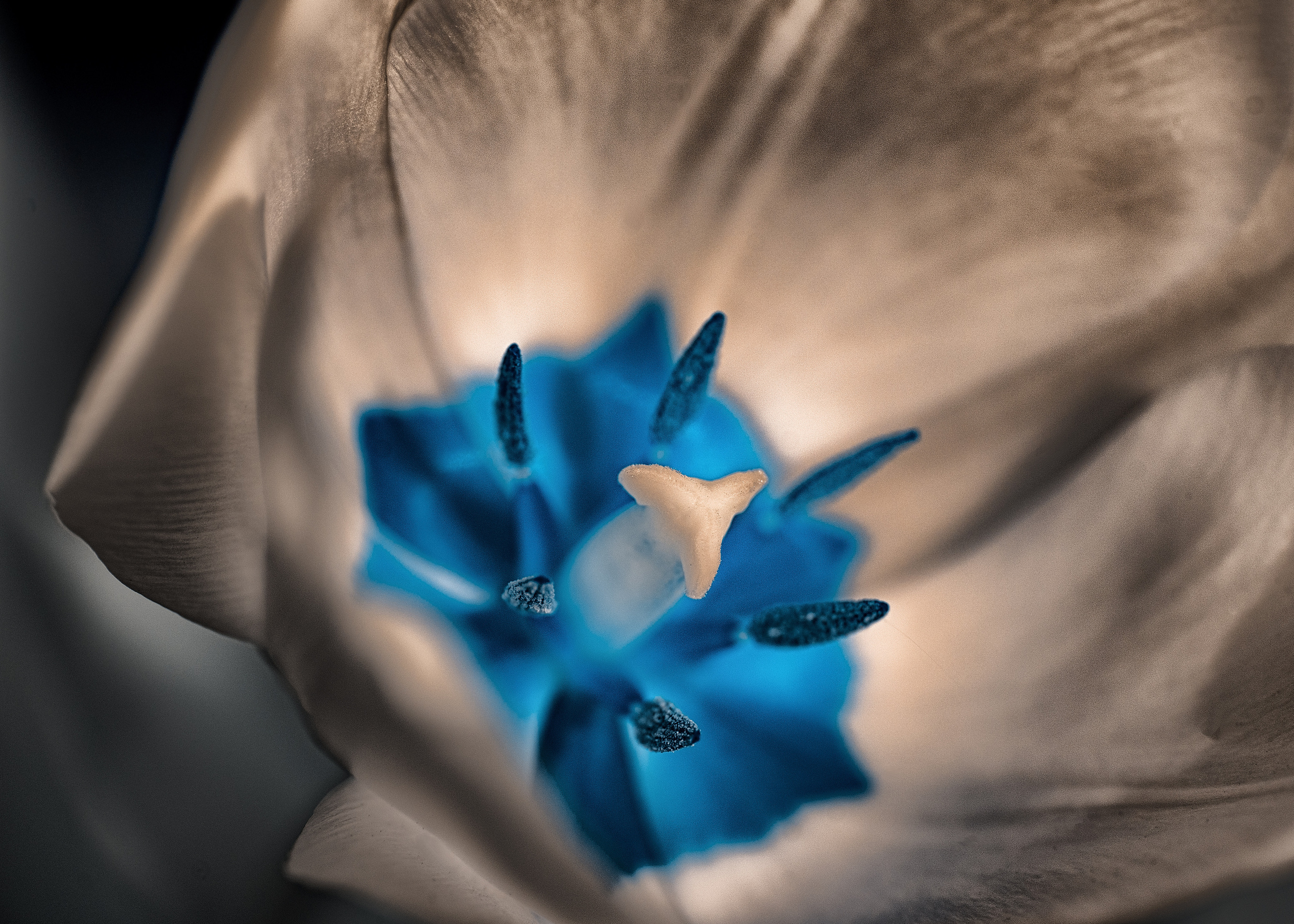 Пейзажи фотографа Андрея Кривошеина. Профессиональная фотосъемка. Ростов-на-Дону