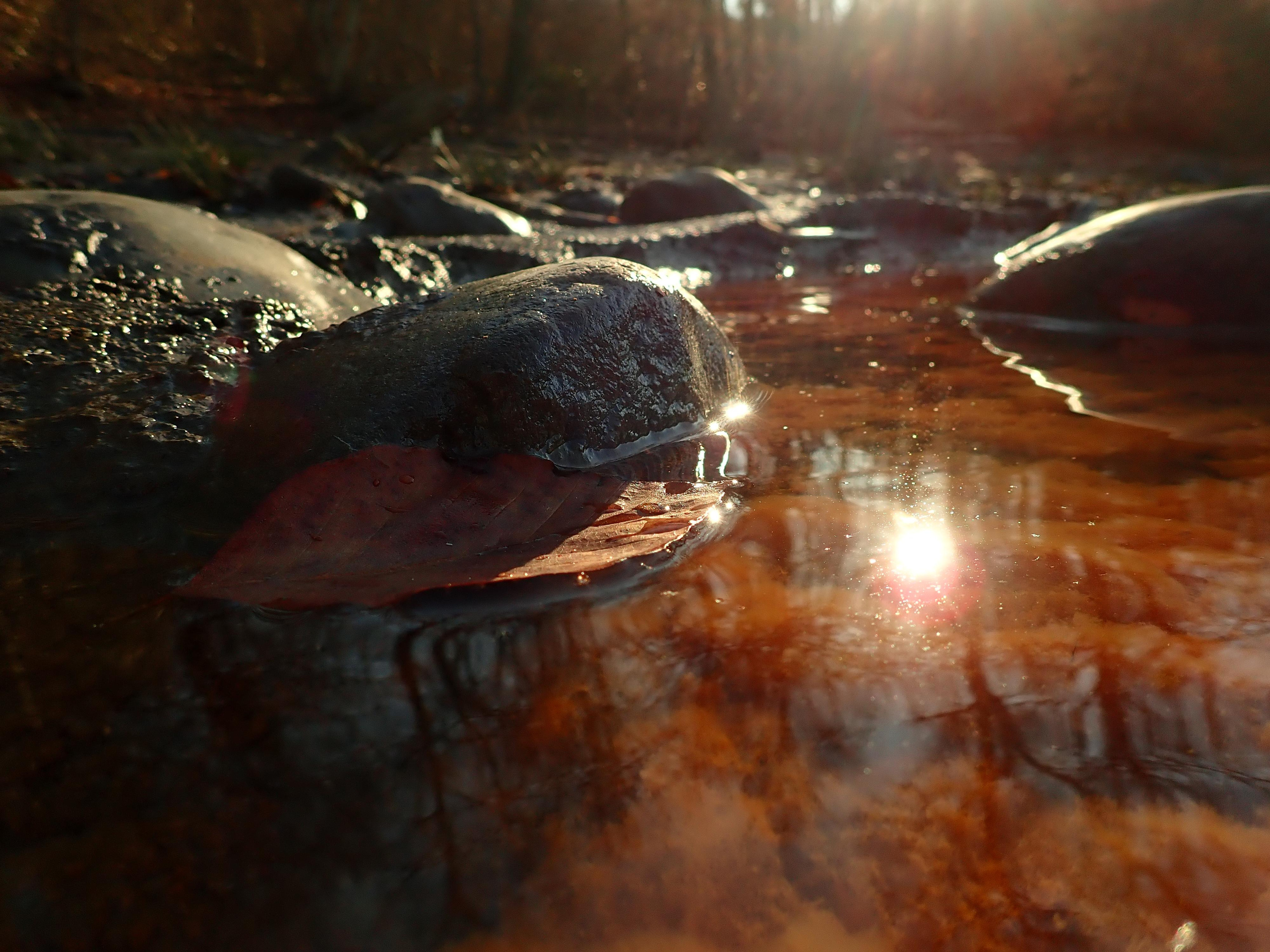 Пейзажи фотографа Андрея Кривошеина. Профессиональная фотосъемка. Ростов-на-Дону