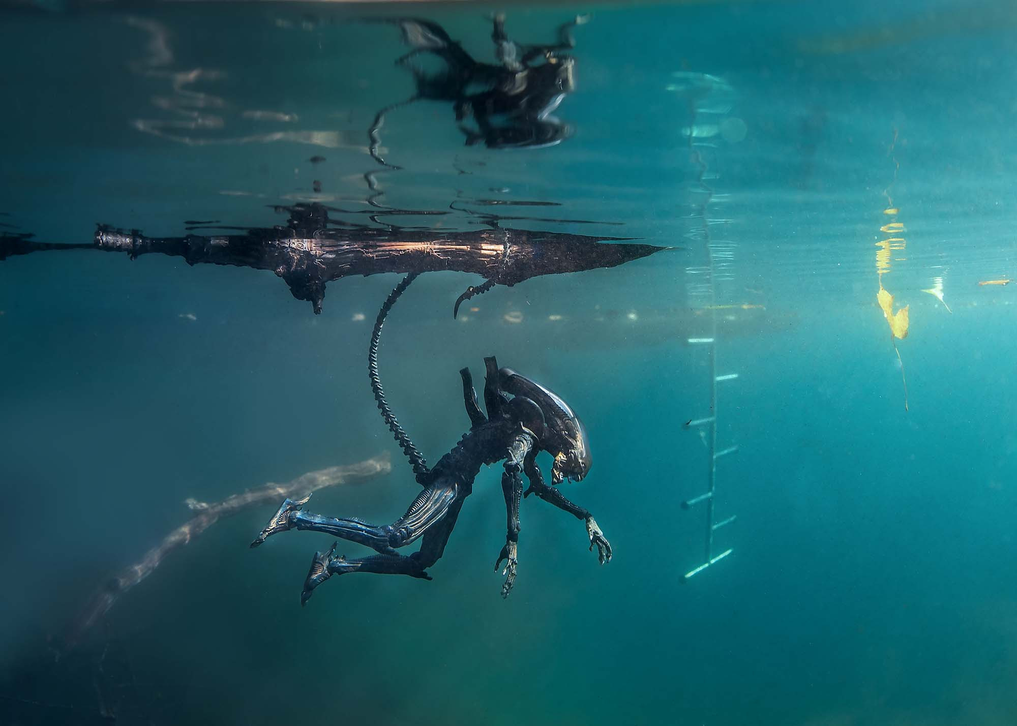 Дайвинг и фридайвинг. Профессиональная фотосъемка. Ростов-на-Дону