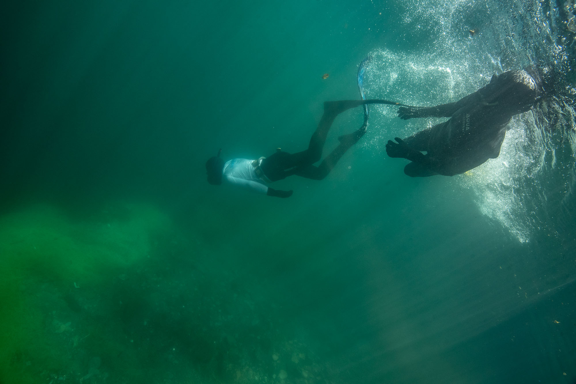 Дайвинг и фридайвинг. Профессиональная фотосъемка. Ростов-на-Дону