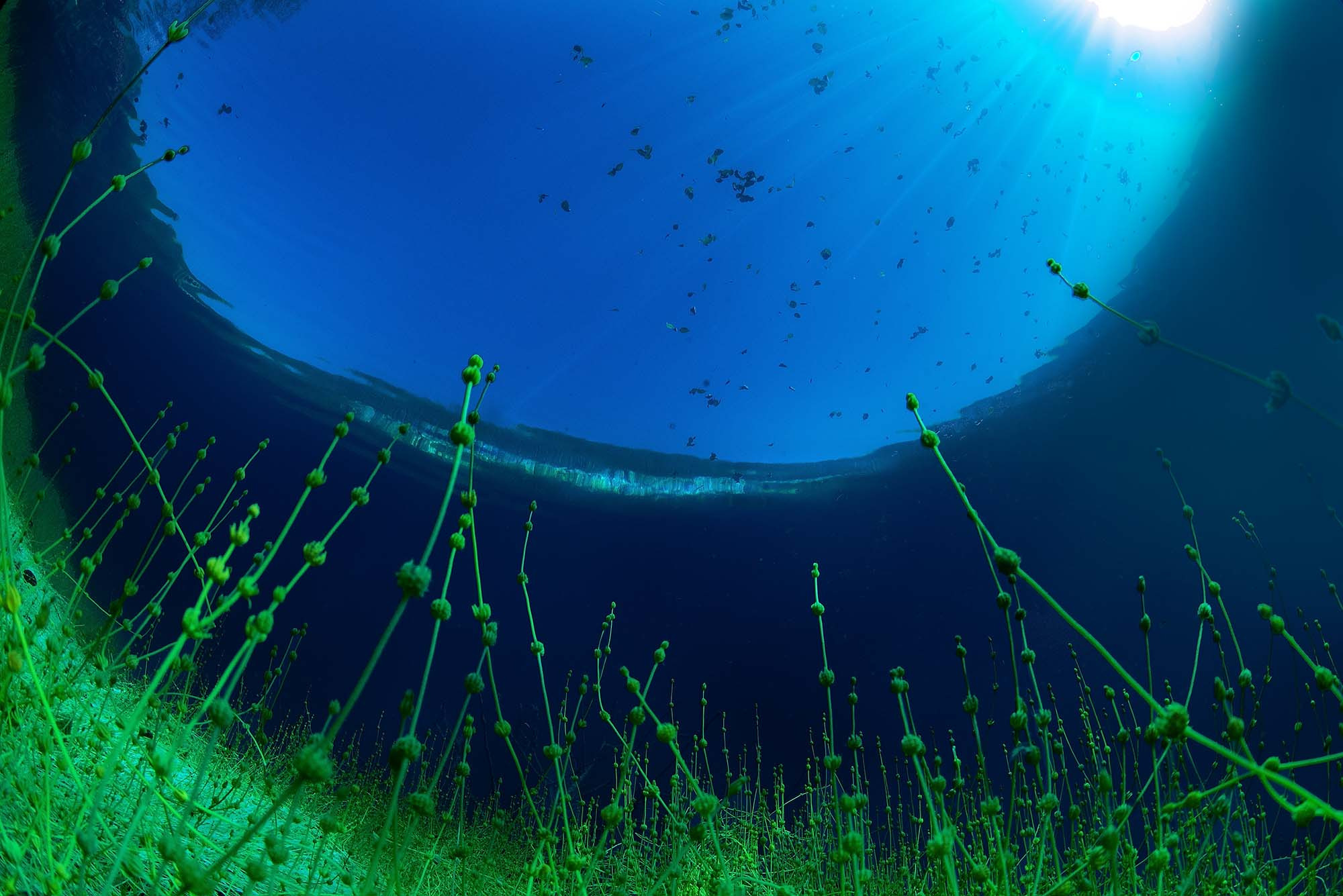 Пейзажи фотографа Андрея Кривошеина. Профессиональная фотосъемка. Ростов-на-Дону