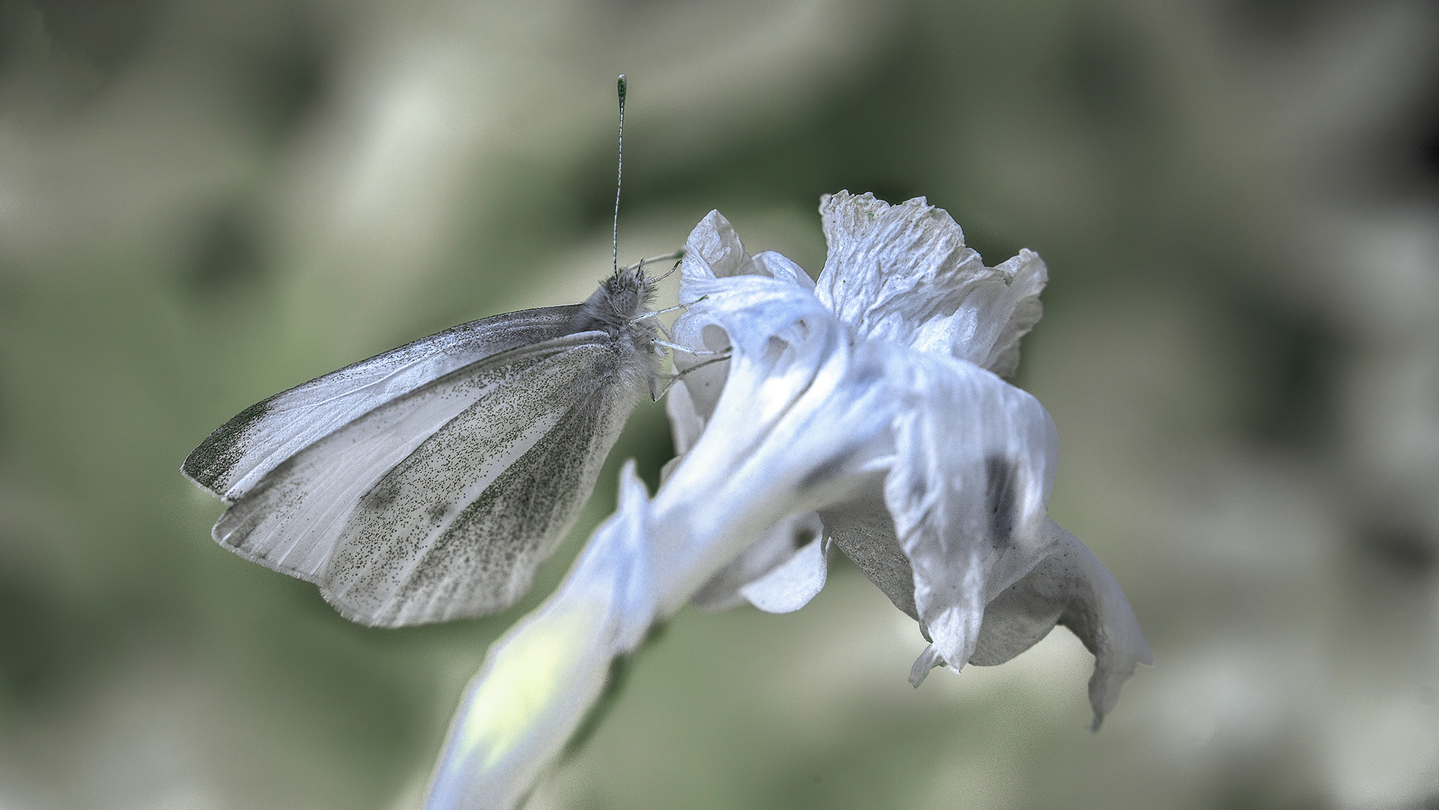 Пейзажи фотографа Андрея Кривошеина. Профессиональная фотосъемка. Ростов-на-Дону