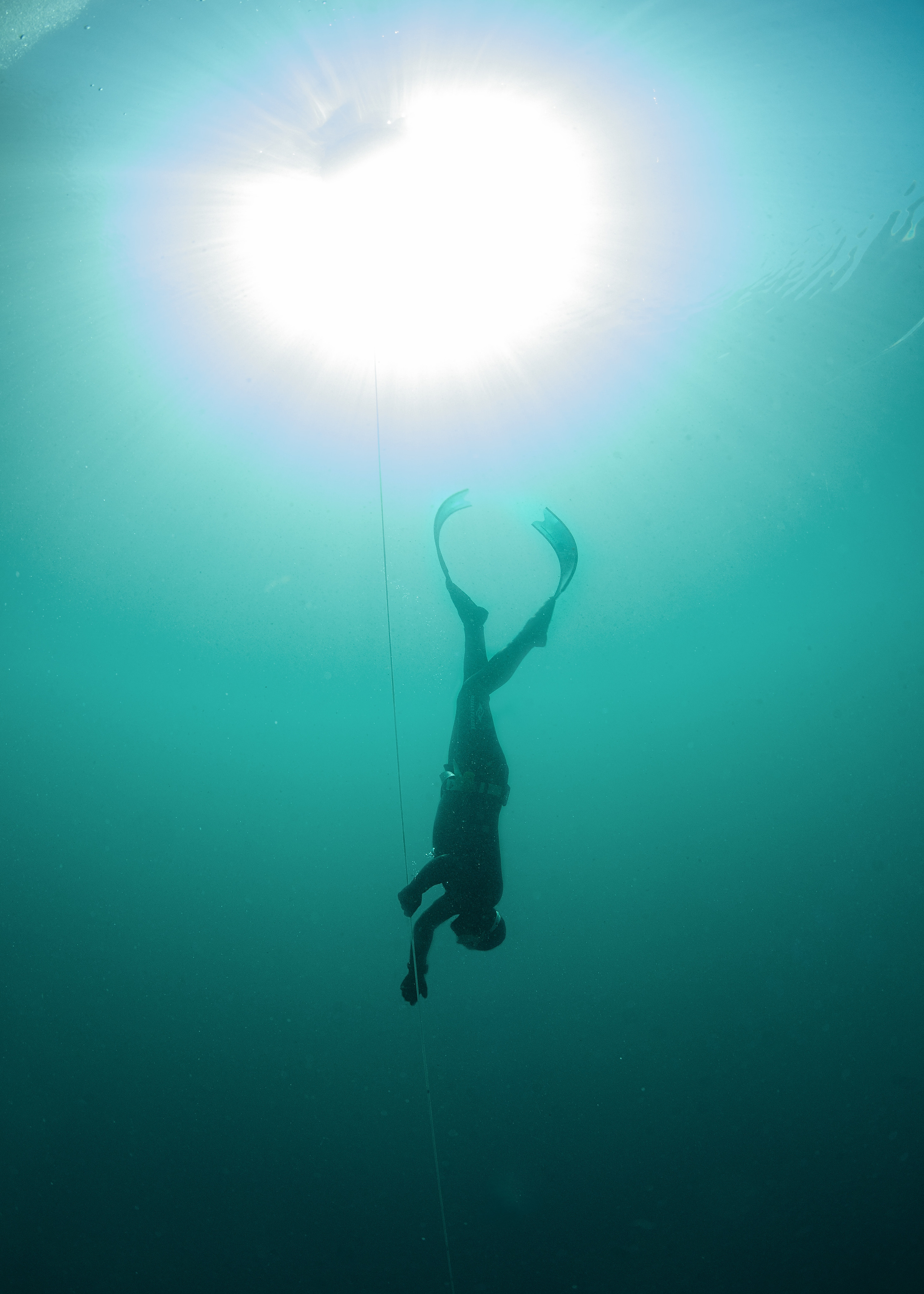 Дайвинг и фридайвинг. Профессиональная фотосъемка. Ростов-на-Дону