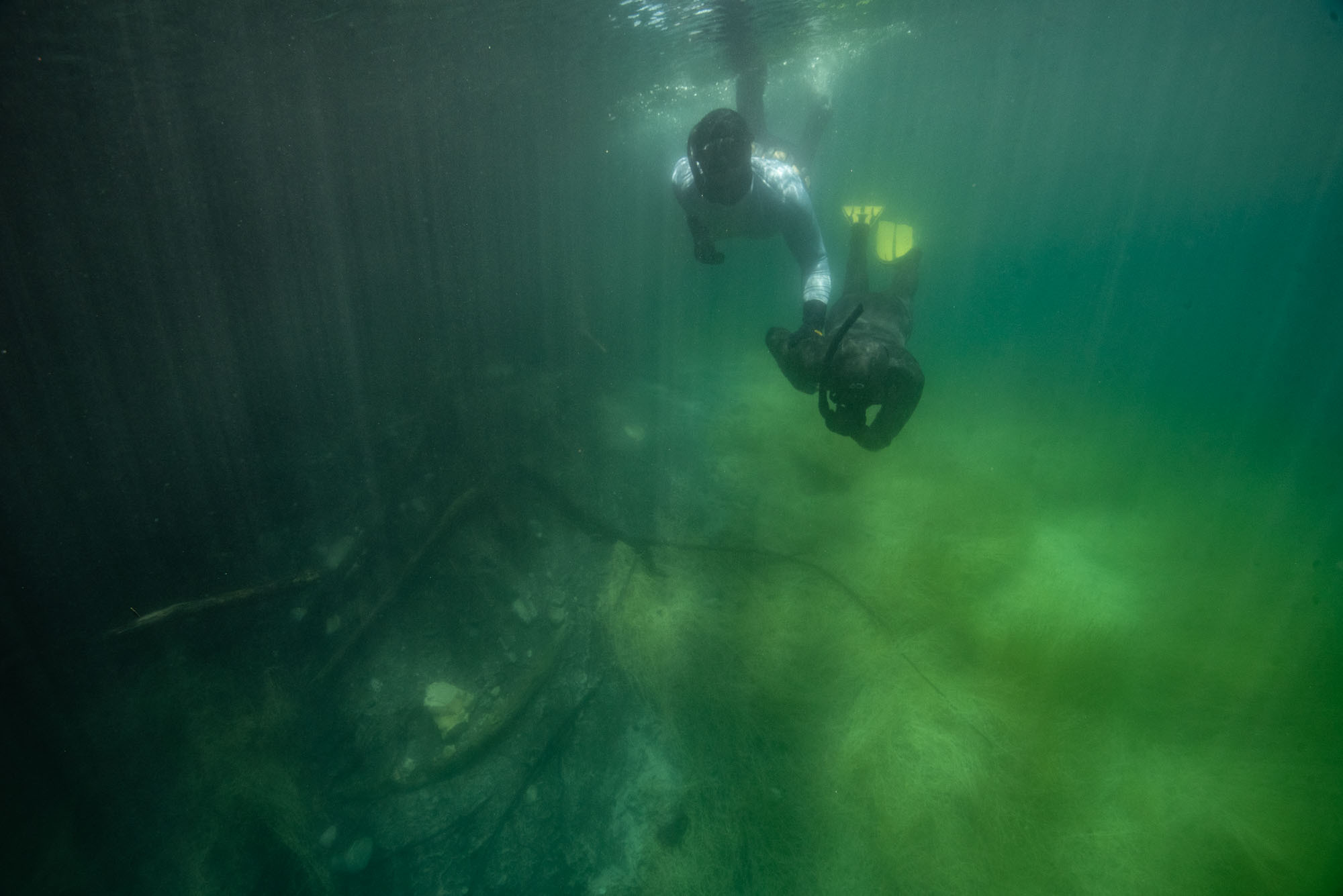 Дайвинг и фридайвинг. Профессиональная фотосъемка. Ростов-на-Дону