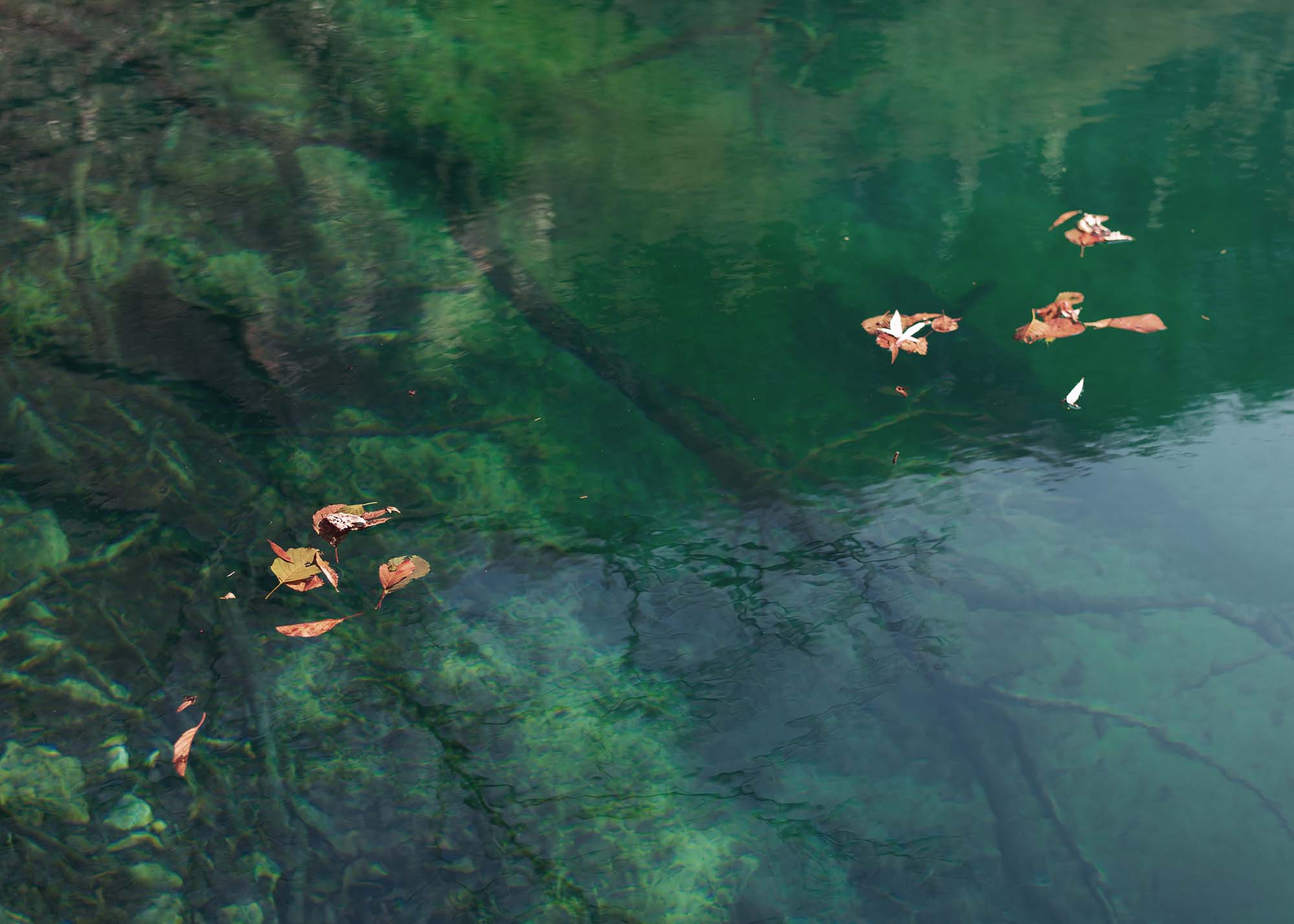 Пейзажи фотографа Андрея Кривошеина. Профессиональная фотосъемка. Ростов-на-Дону