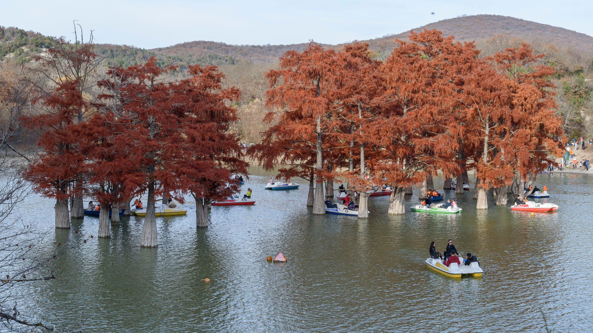 Пейзажи фотографа Андрея Кривошеина. Профессиональная фотосъемка. Ростов-на-Дону