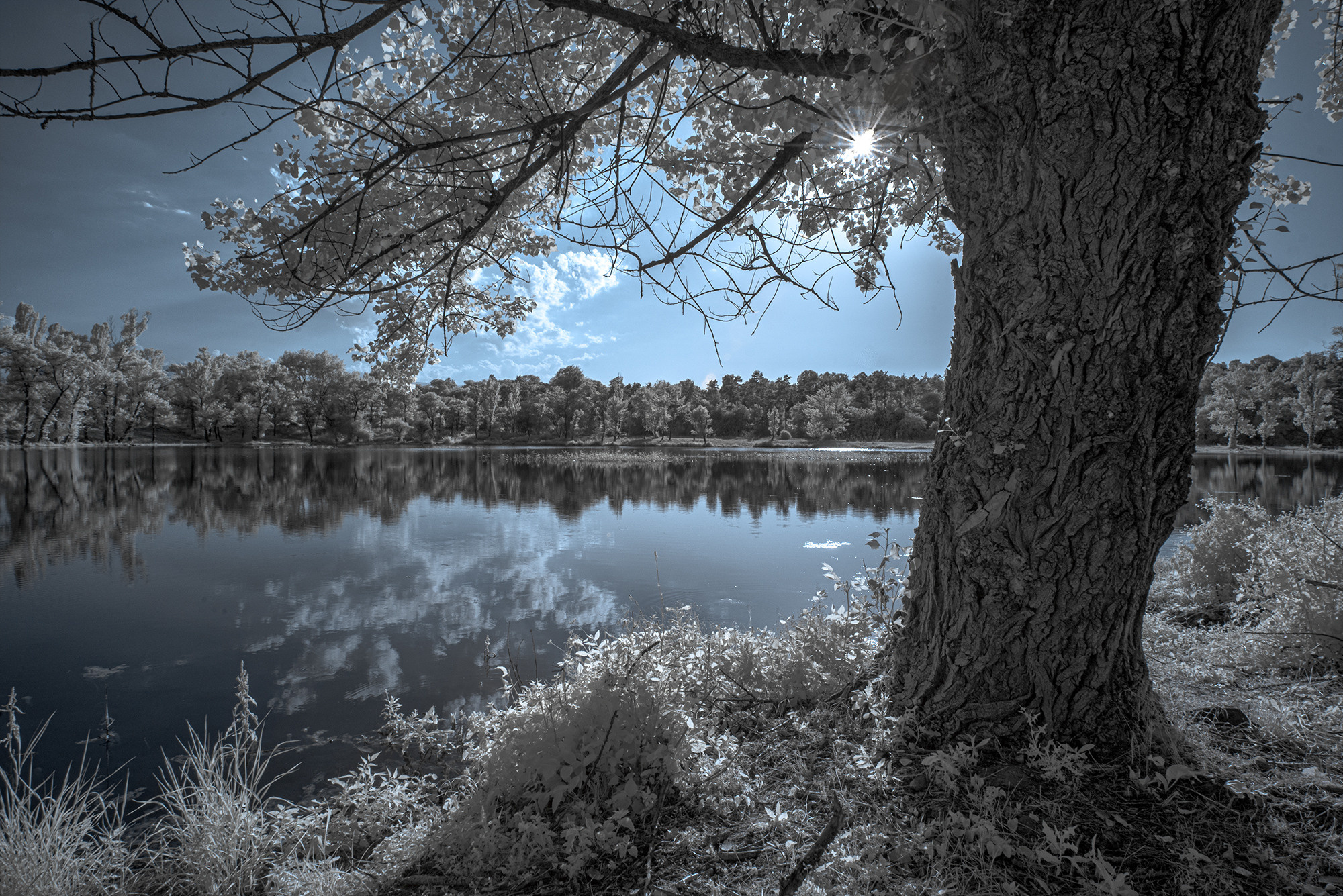 Пейзажи фотографа Андрея Кривошеина. Профессиональная фотосъемка. Ростов-на-Дону