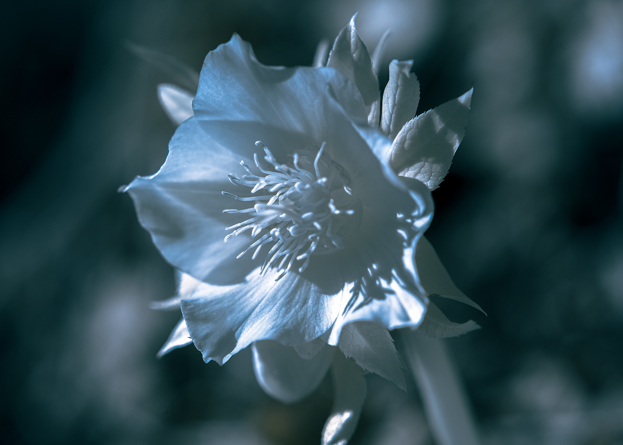 Пейзажи фотографа Андрея Кривошеина. Профессиональная фотосъемка. Ростов-на-Дону