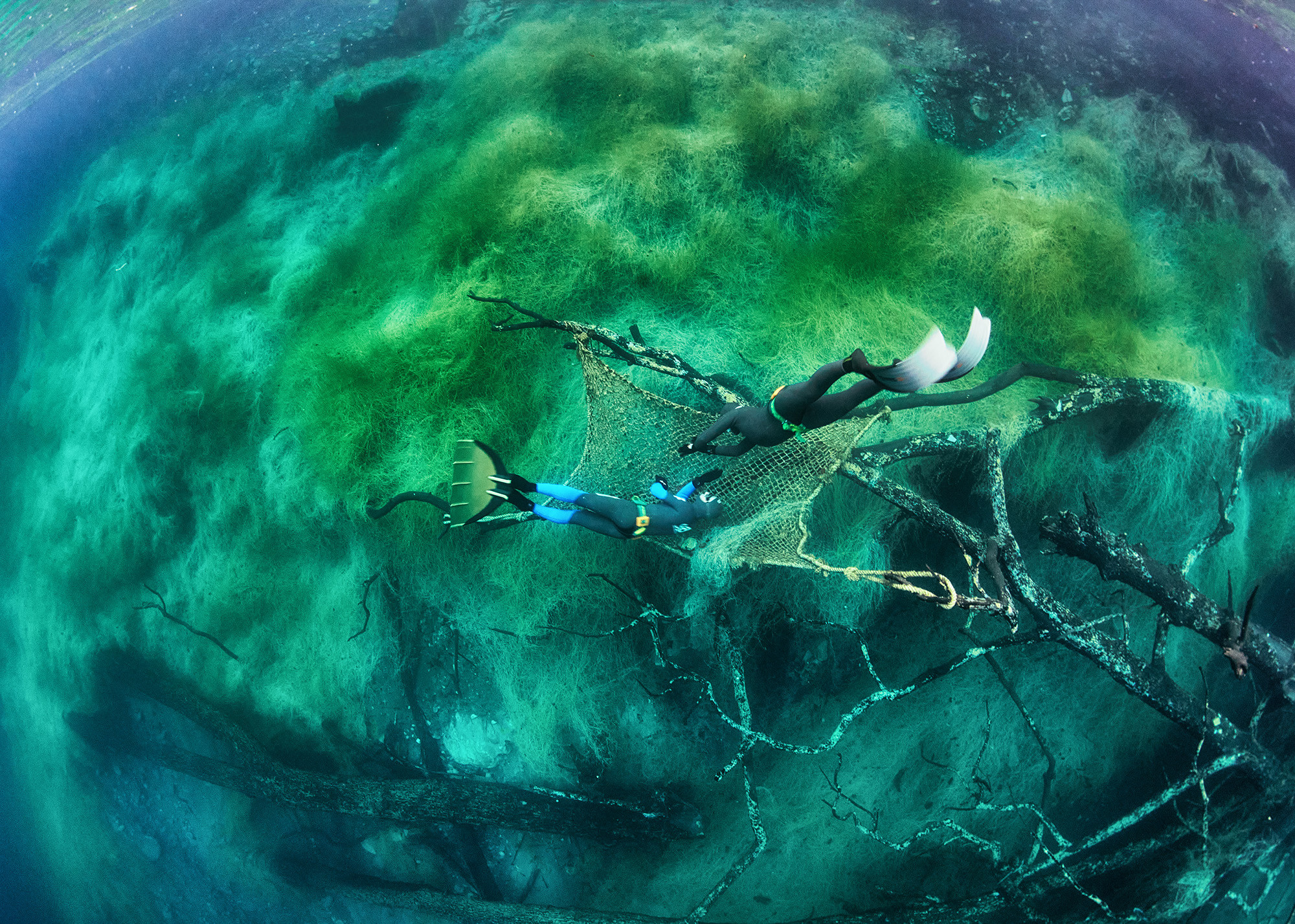 Дайвинг и фридайвинг. Профессиональная фотосъемка. Ростов-на-Дону