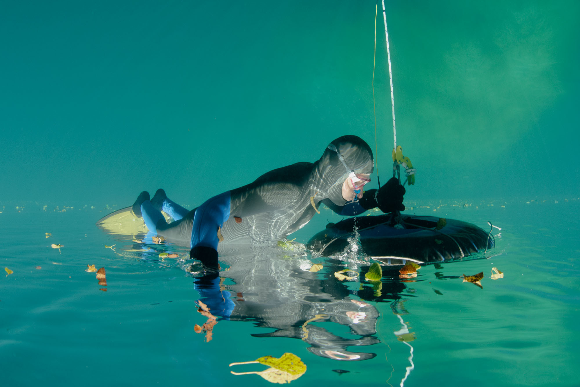 Дайвинг и фридайвинг. Профессиональная фотосъемка. Ростов-на-Дону