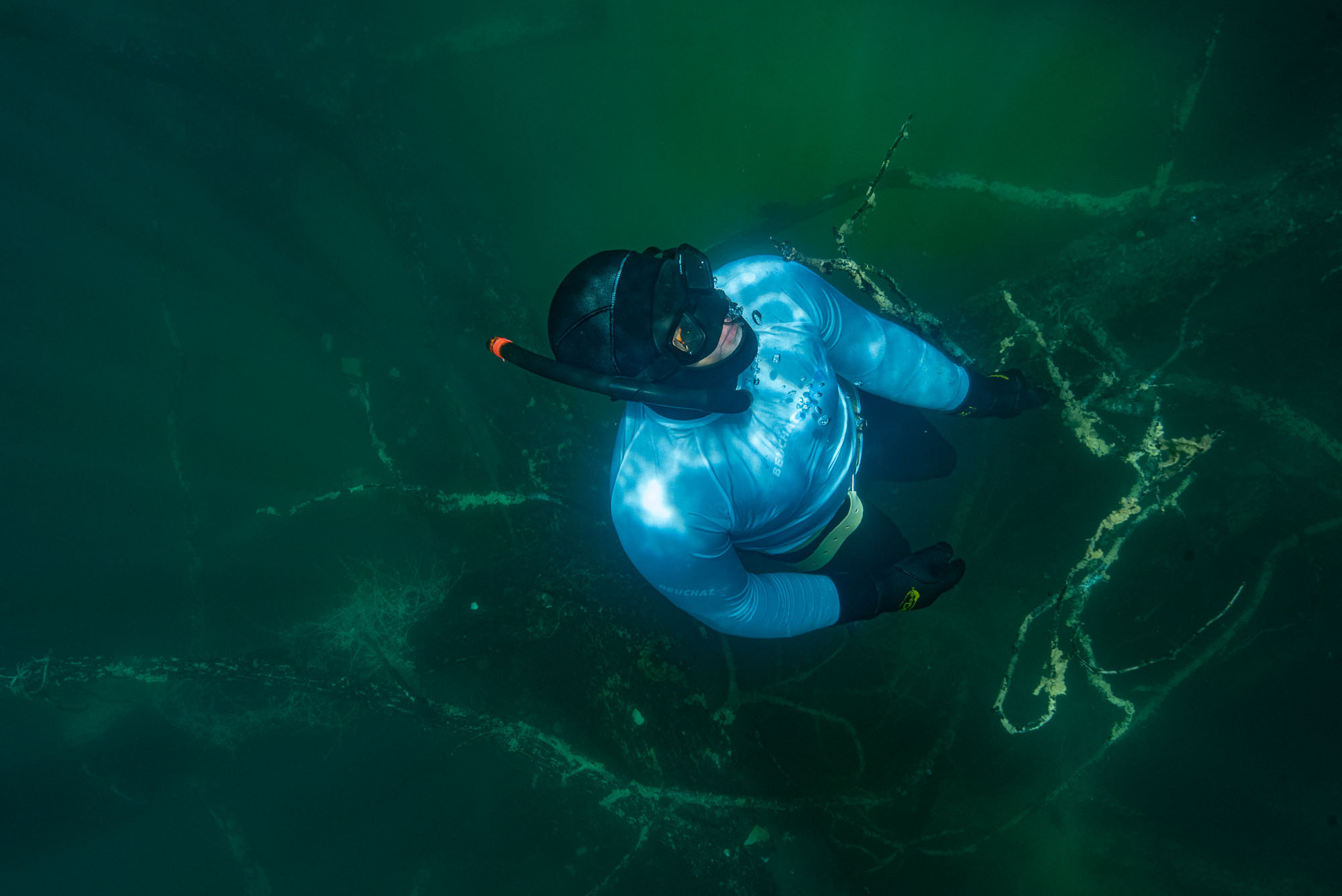 Дайвинг и фридайвинг. Профессиональная фотосъемка. Ростов-на-Дону