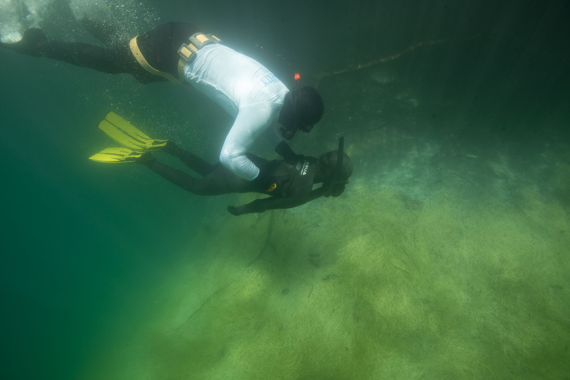 Дайвинг и фридайвинг. Профессиональная фотосъемка. Ростов-на-Дону